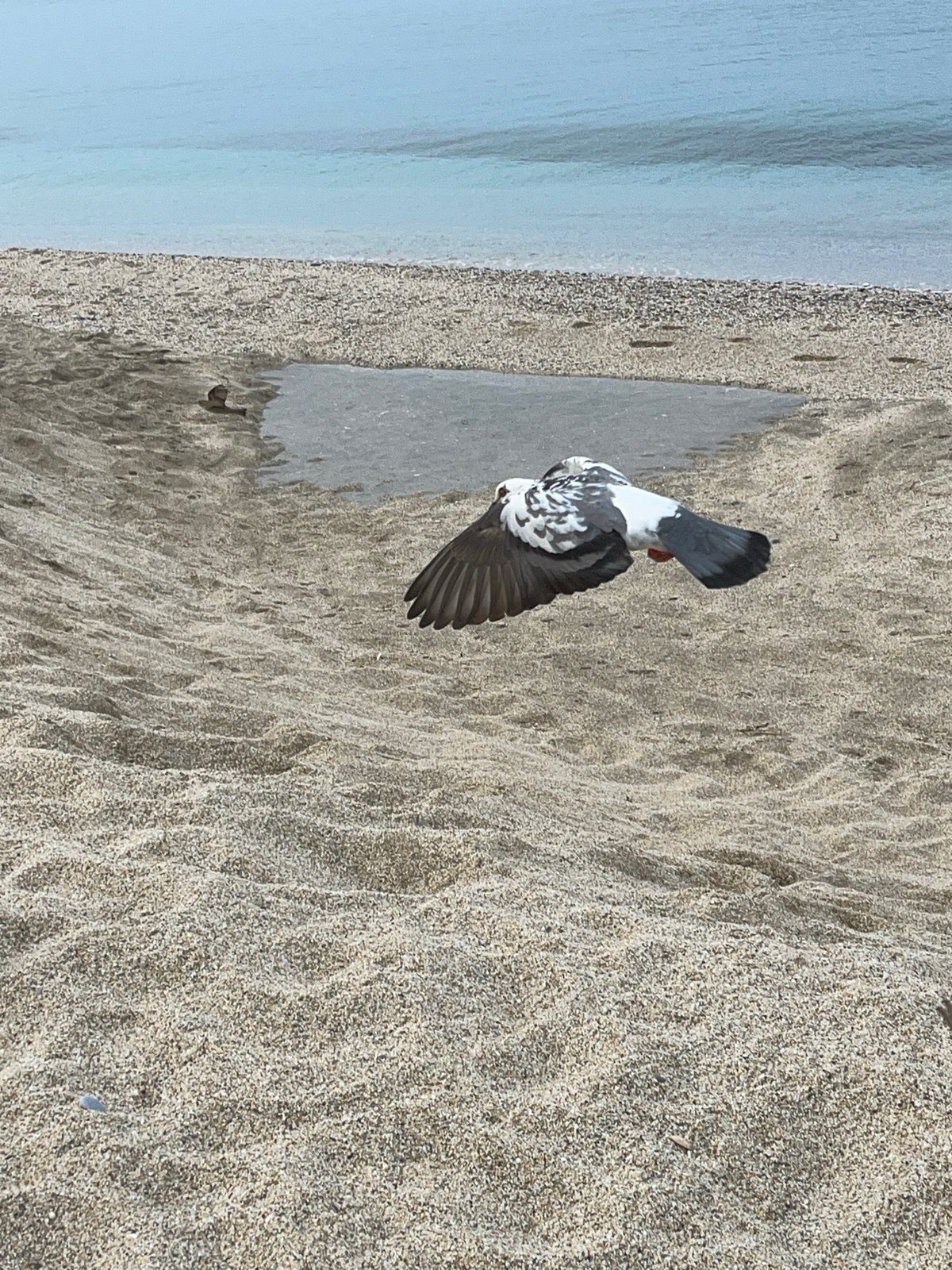 Early morning beach scenes documented along Alanya's Mediterranean coast
