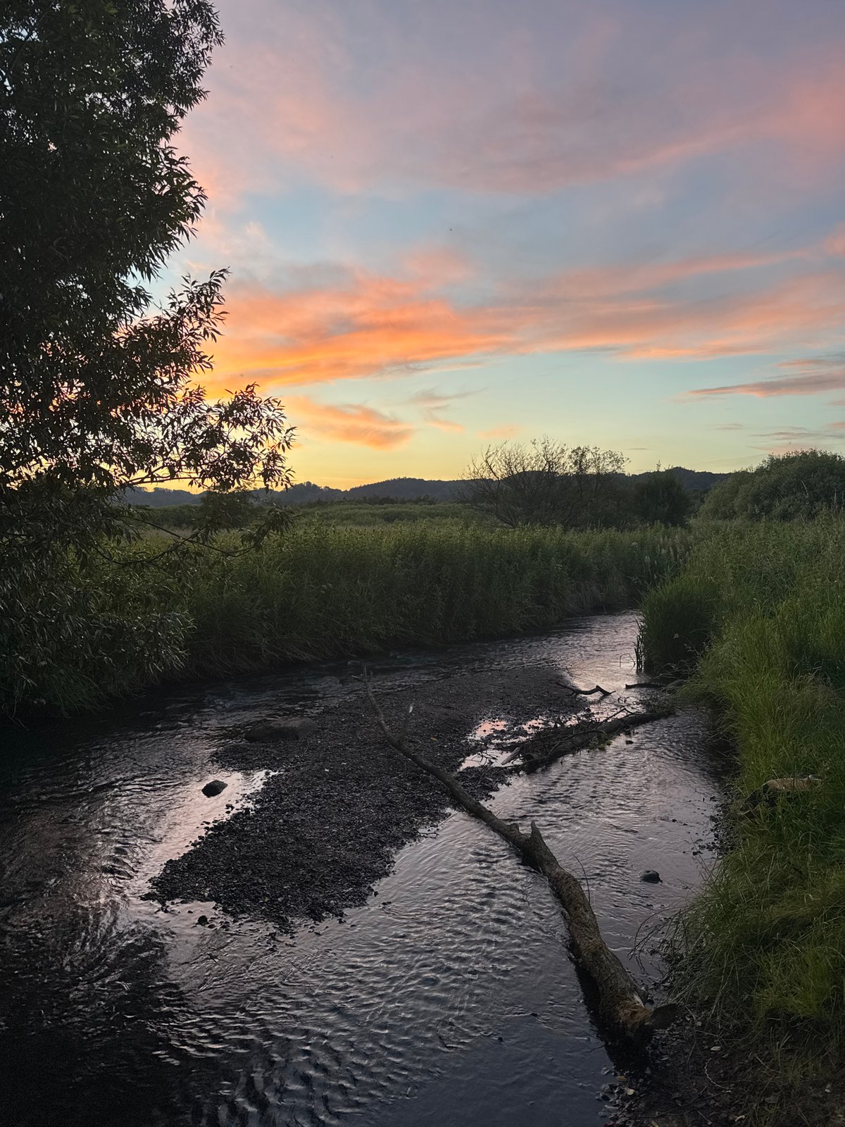 Sunset stroll along Vejle's riverside paths and pastures