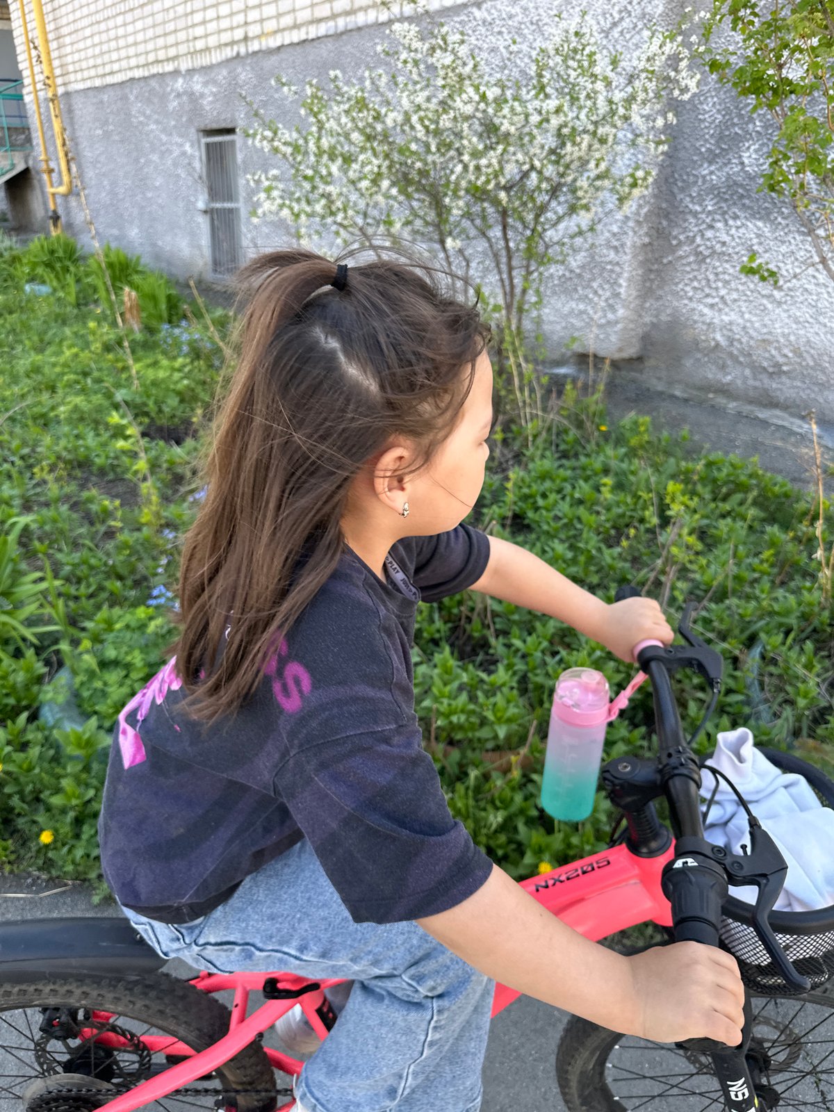 Ordinary neighborhood life captured during spring morning