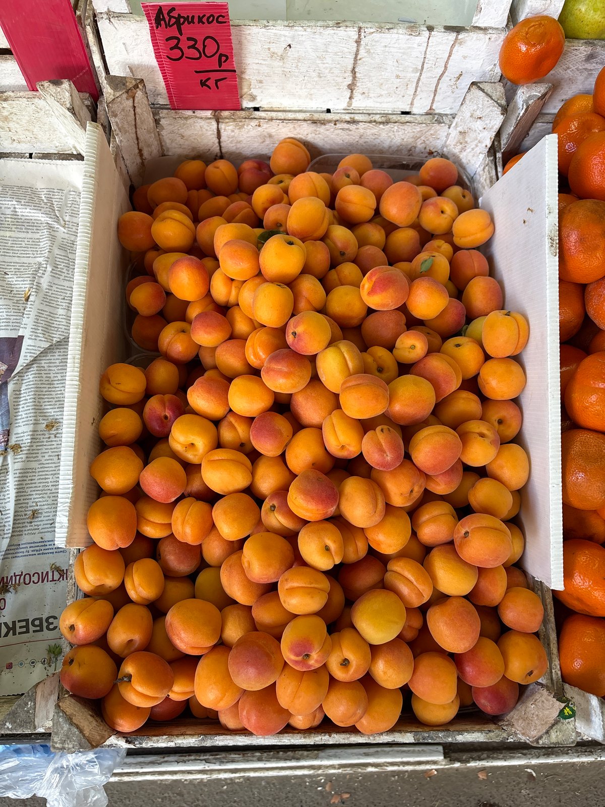 Market life and street scenes captured in Alushta, Ukraine