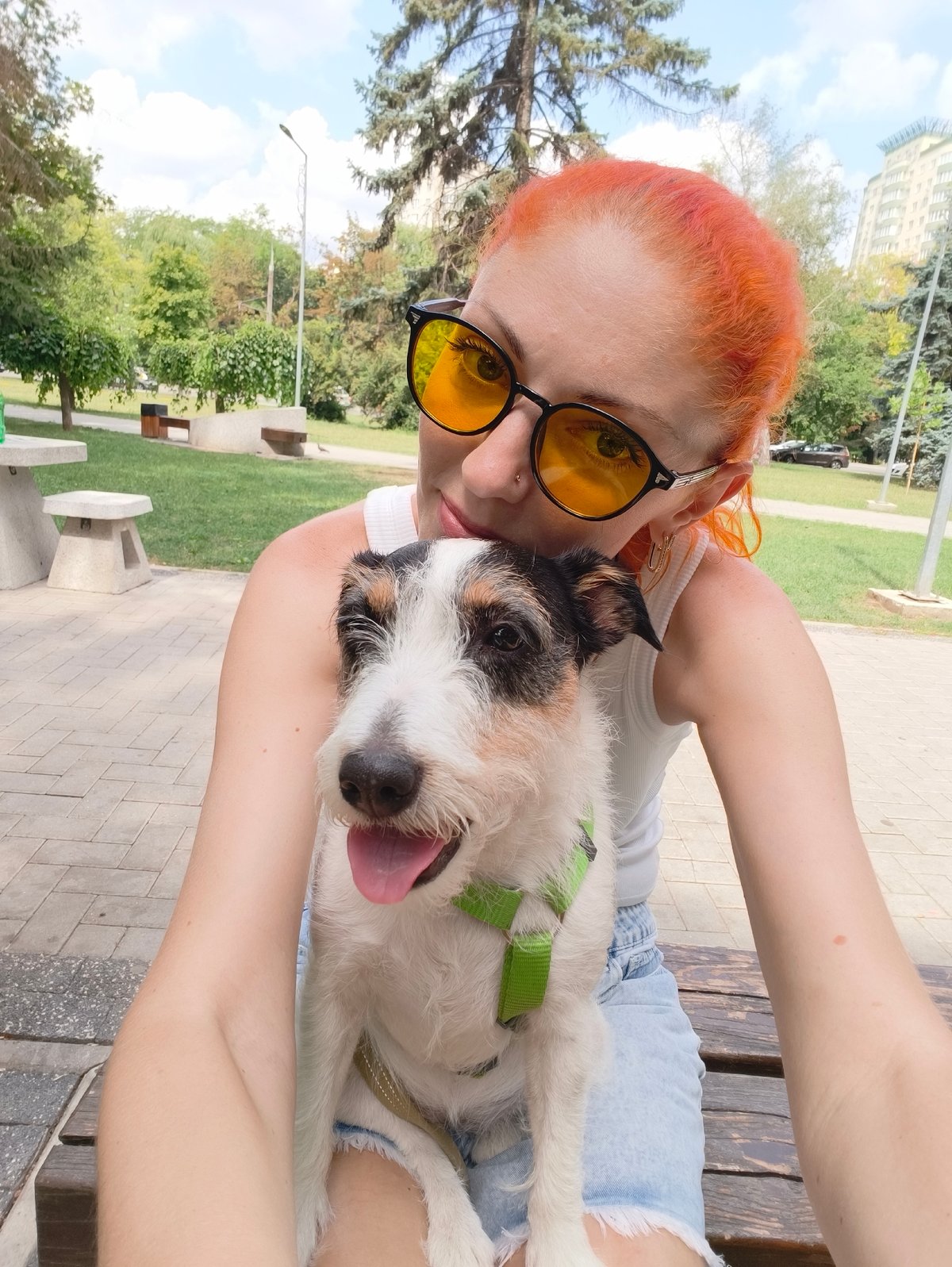 Terrier mix enjoys a laid-back morning at the park.