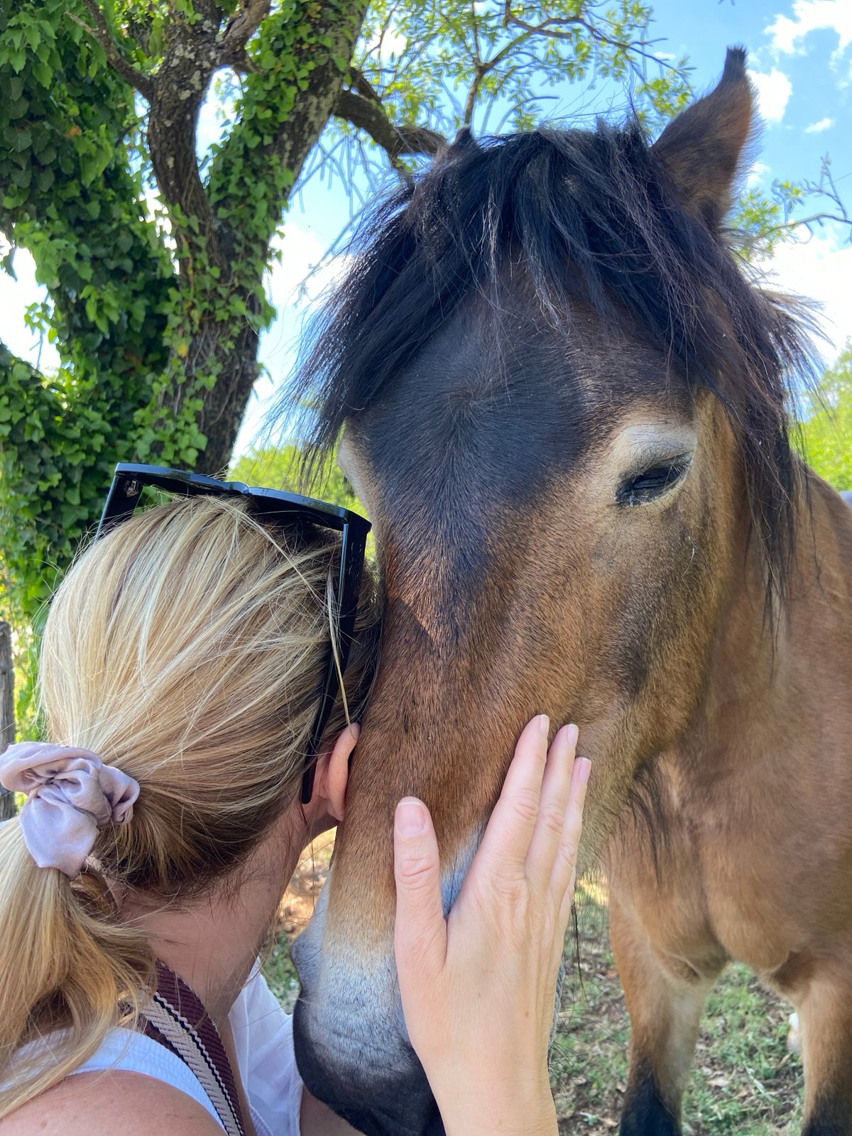 Woman bonds with horse in Montenegro countryside