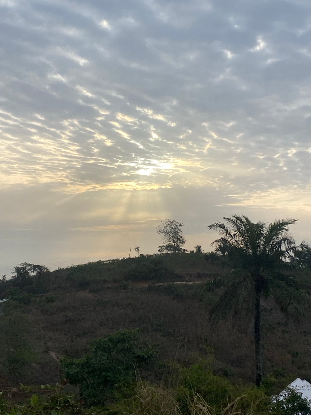 Dawn breaks over Achara Nigeria countryside with birds flying