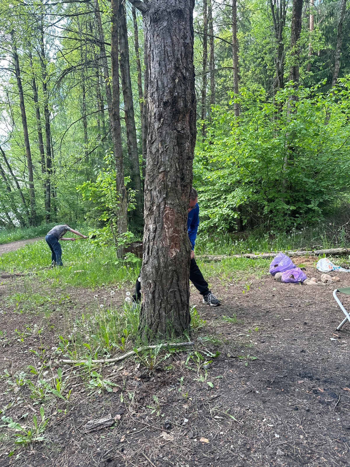 Forest camping group documented in Belarus rural area