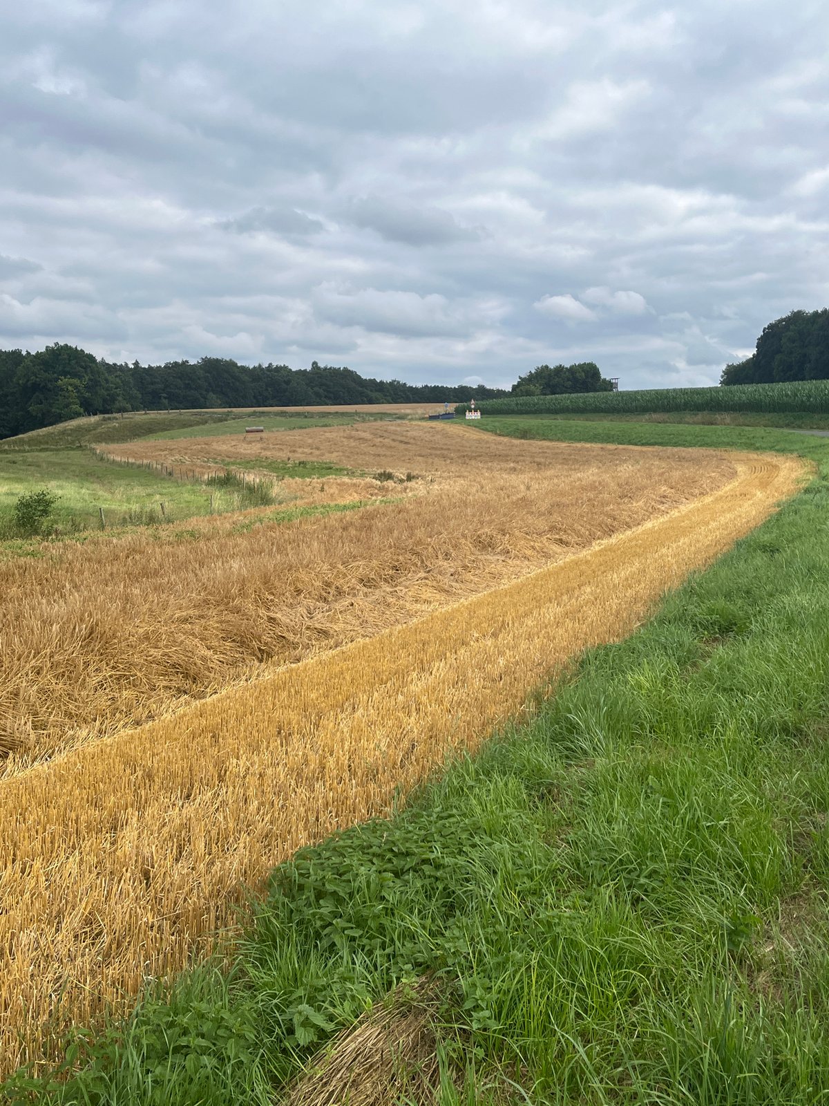 Harvest season underway across Wiera's mixed farmland