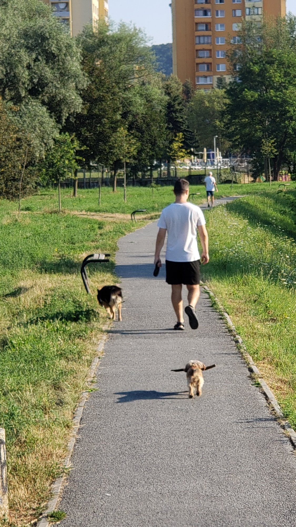 Morning walk with two dogs through a Prešov park
