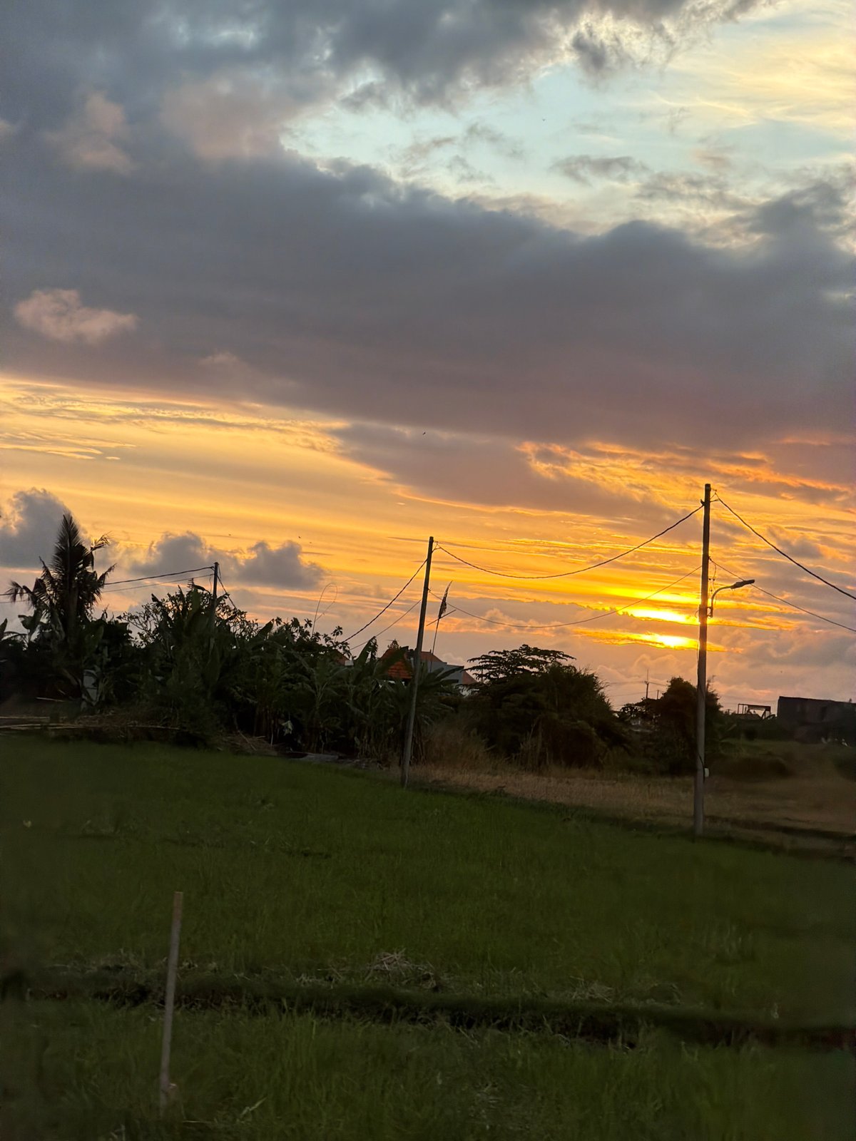 Sunset captured over agricultural fields in Mengwi, Indonesia