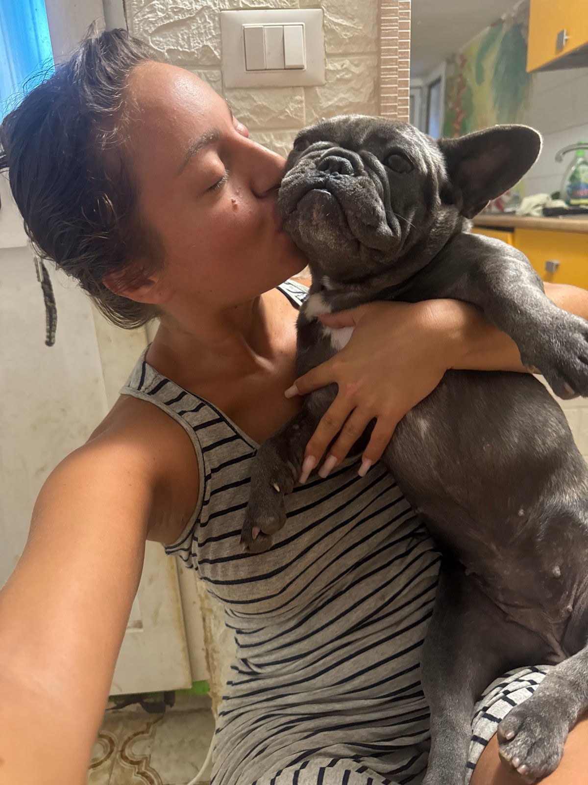 Two French Bulldogs living their best life at home in Italy