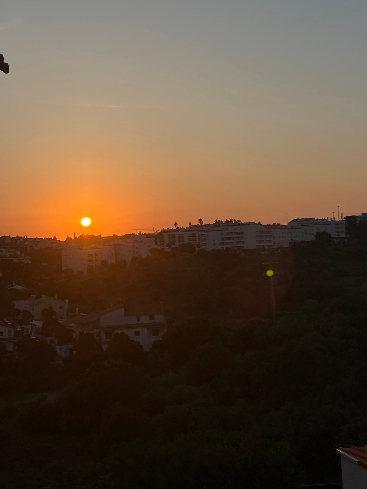 Cascais sunset over hilltop rooftops, with orchids in bloom