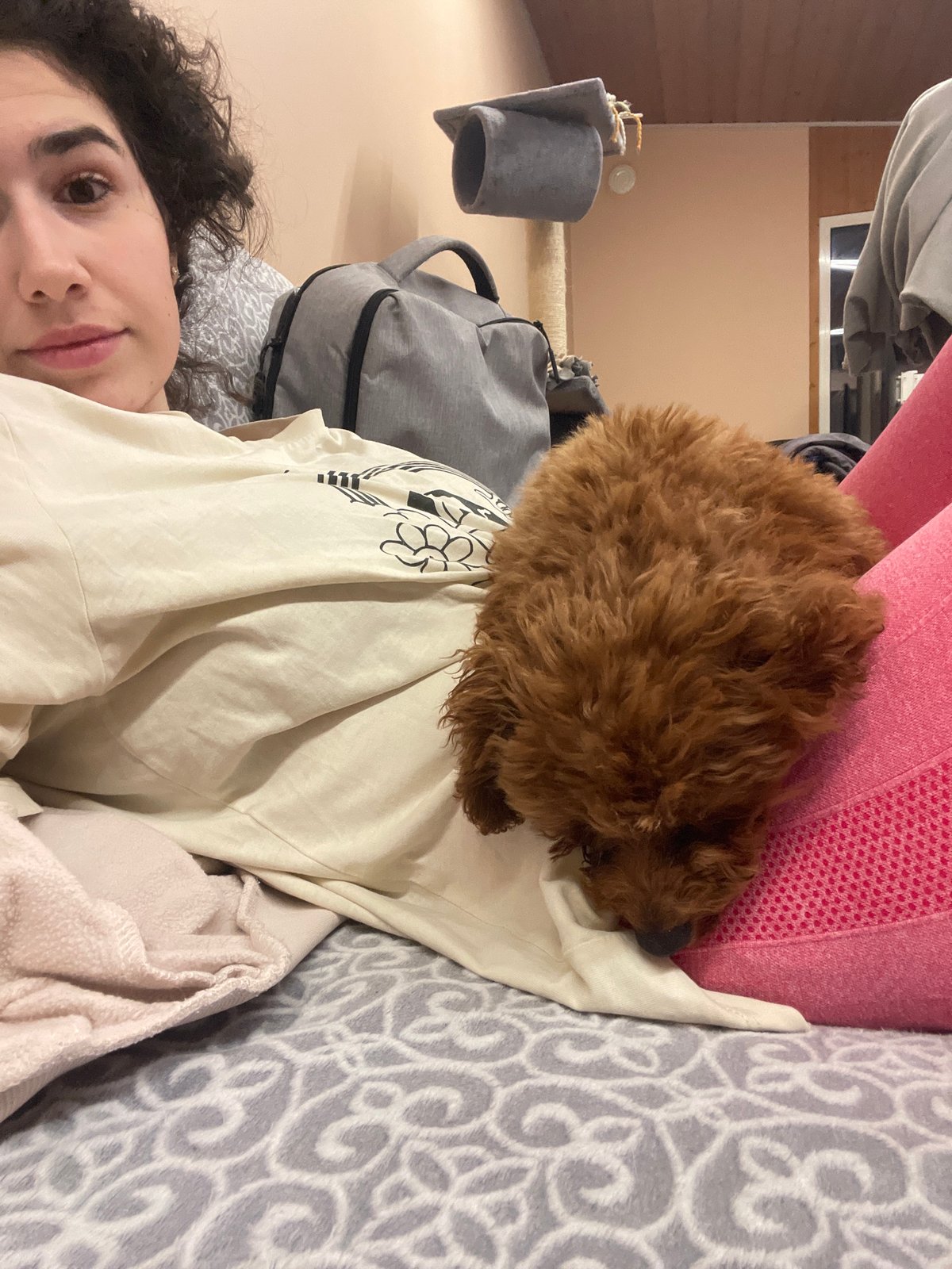 Woman and small dog rest together on couch in Sofia