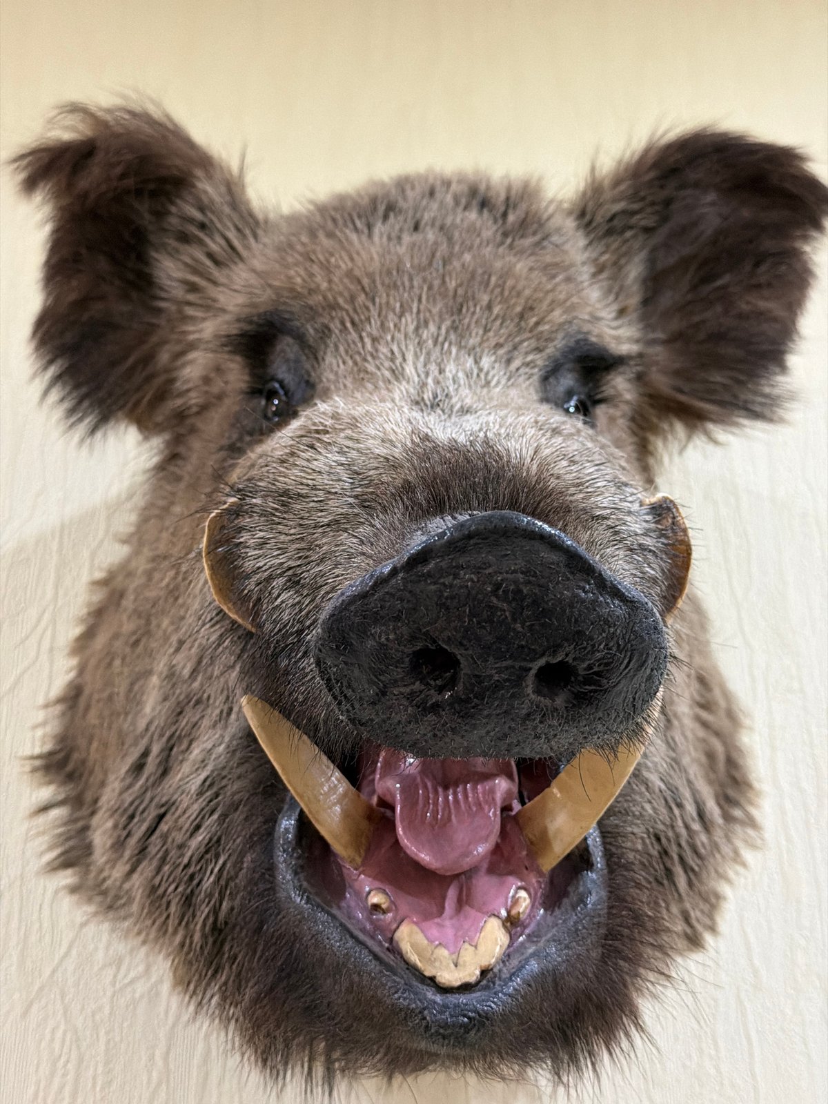 Wildlife imagery documented in rural Russia wetland area