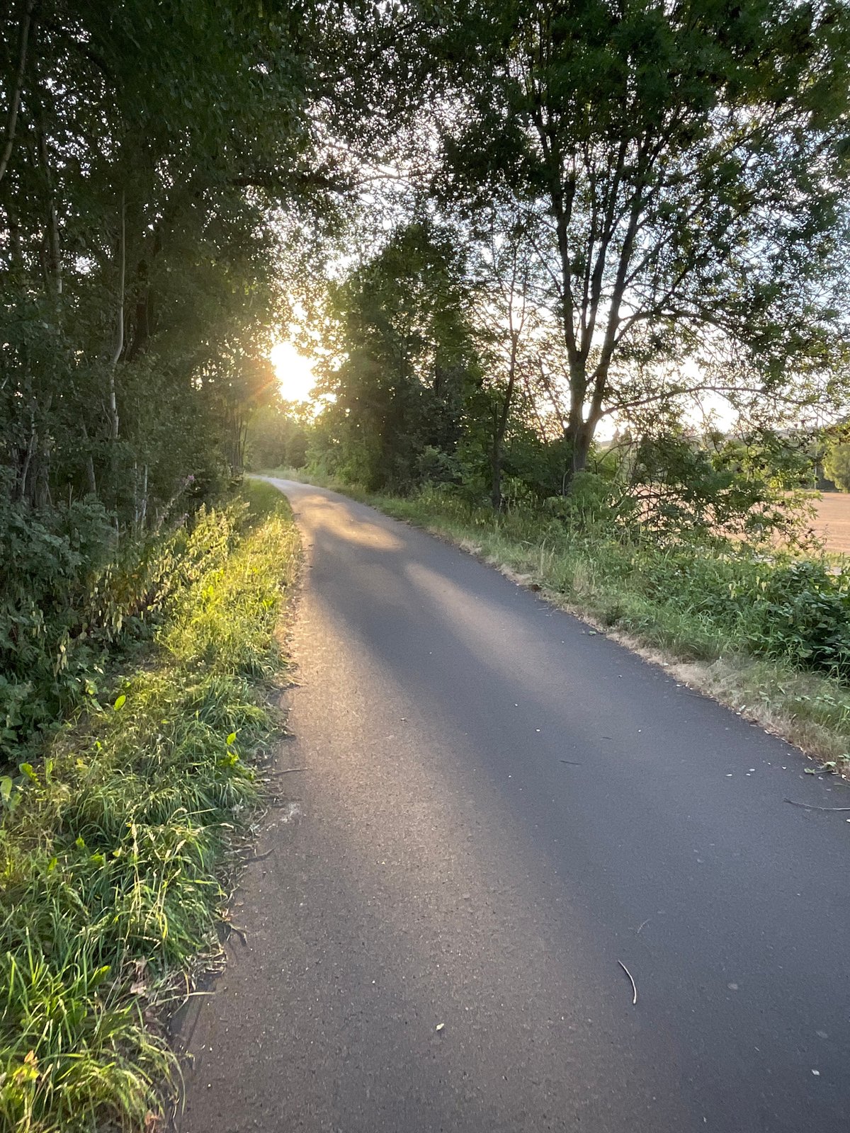 Golden hour stroll through rural Hessian fields and country roads