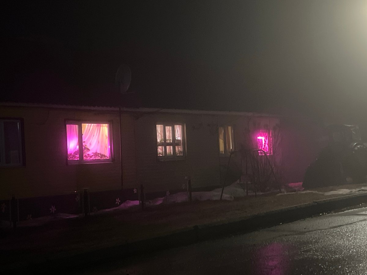 Building displays pink and yellow window lights in Сосново