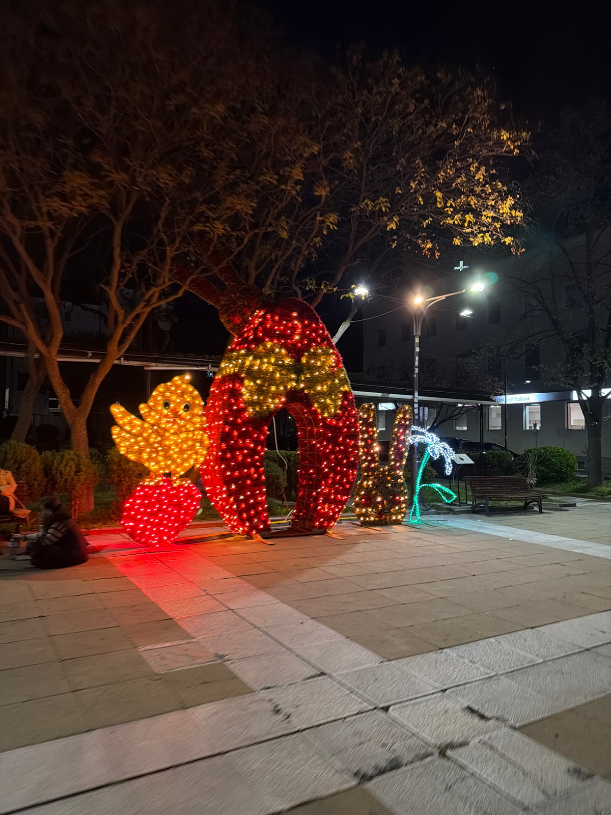 Illuminated crab Christmas decorations spotted on Blagoevgrad sidewalk