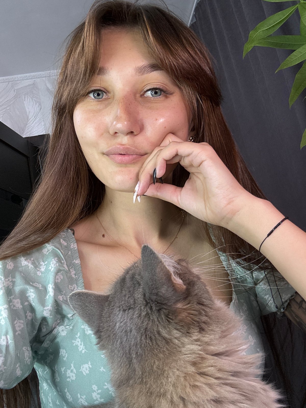 Casual at-home moments with a grey cat in Novokuznetsk