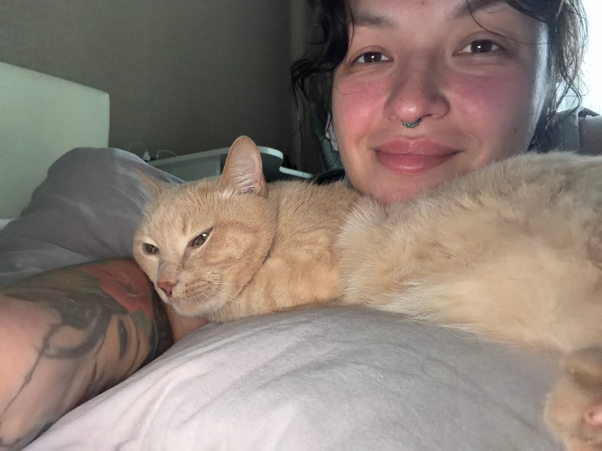 A quiet evening in Chaikovsky — cats, skies, and street scenes