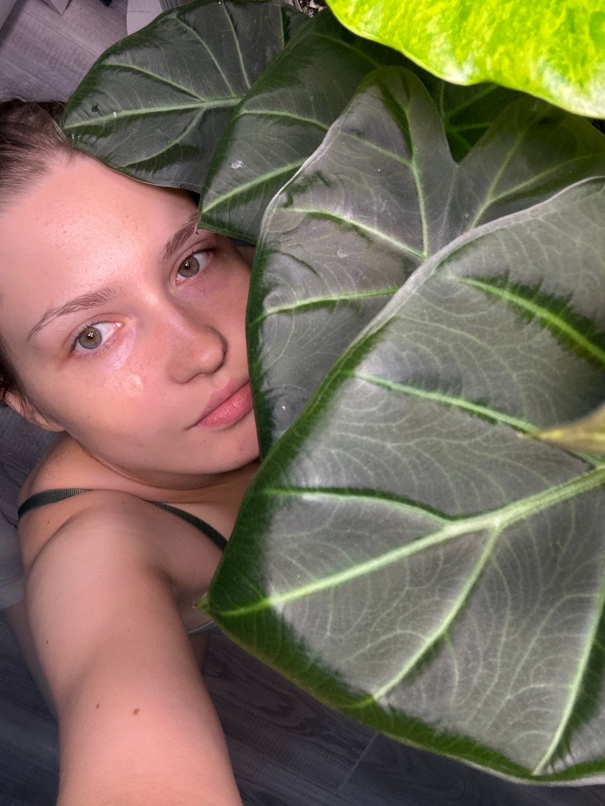 Resting on a wooden floor, partially framed by tropical leaves