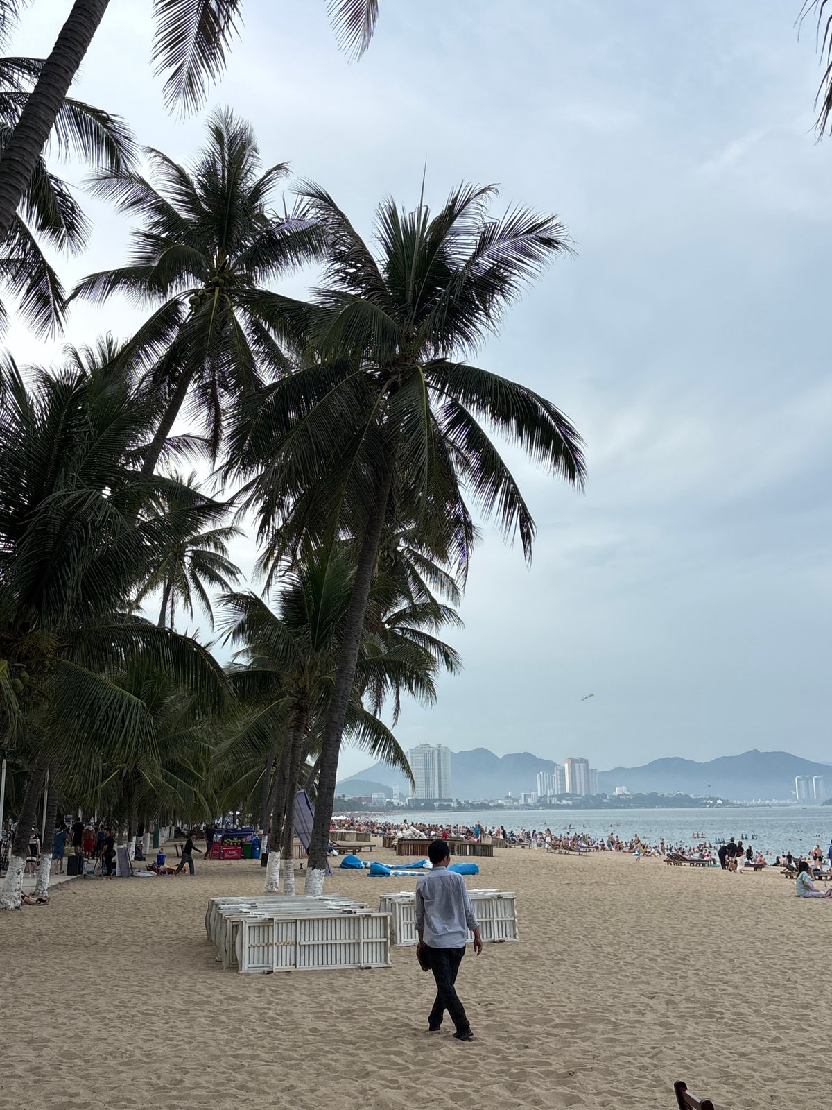 Nha Trang beach morning, street scenes, and sleepy dogs