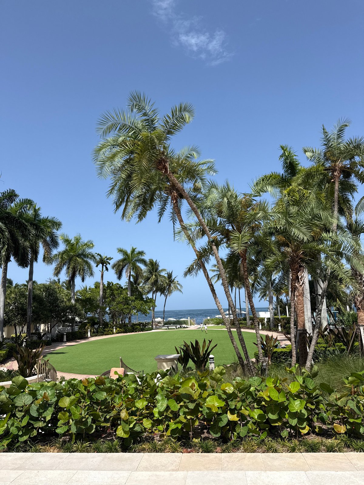 Modern patio and tropical greenery on a sunny Key Biscayne afternoon
