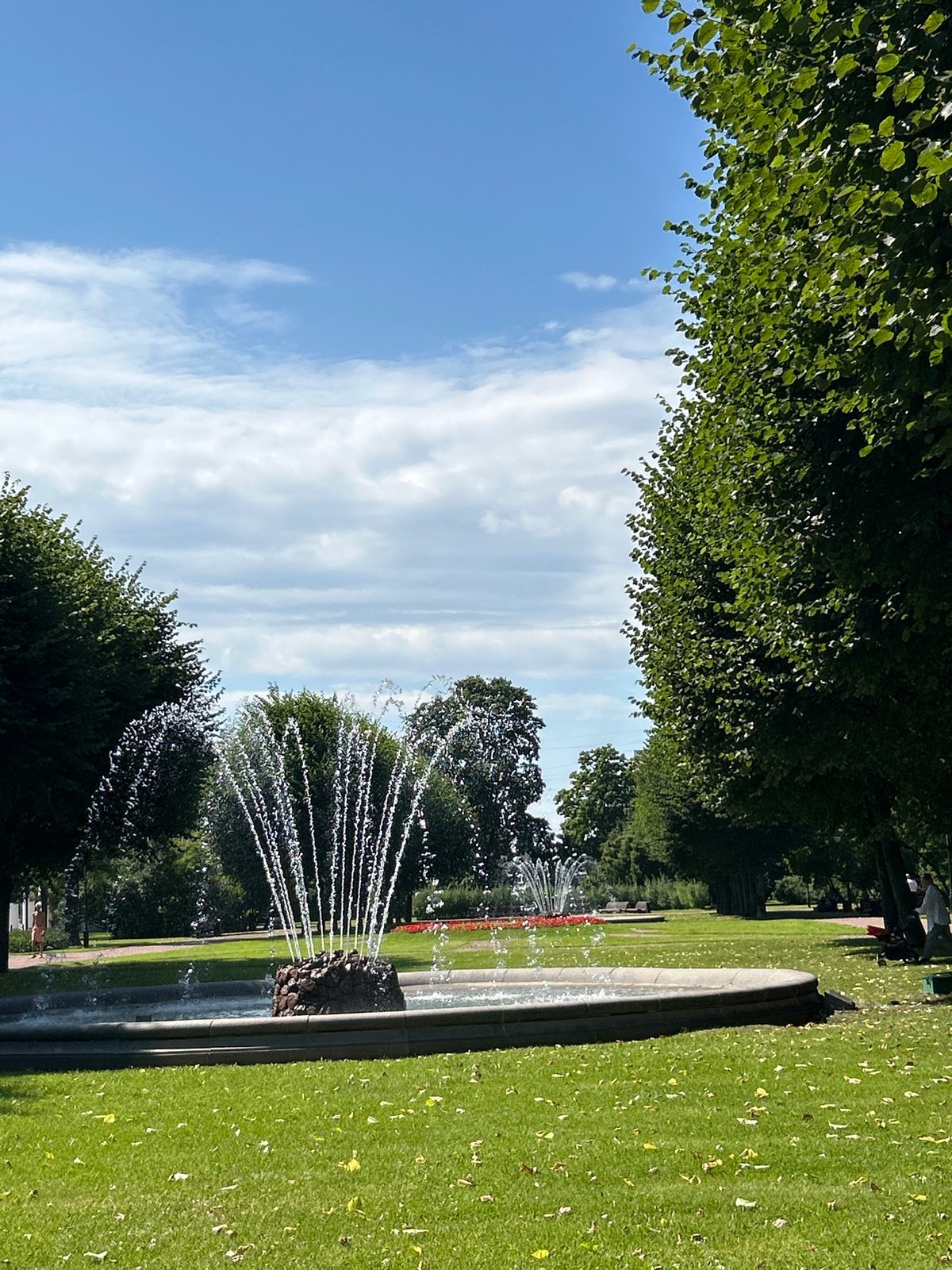 Sunny morning stroll through a Saint Petersburg park in summer