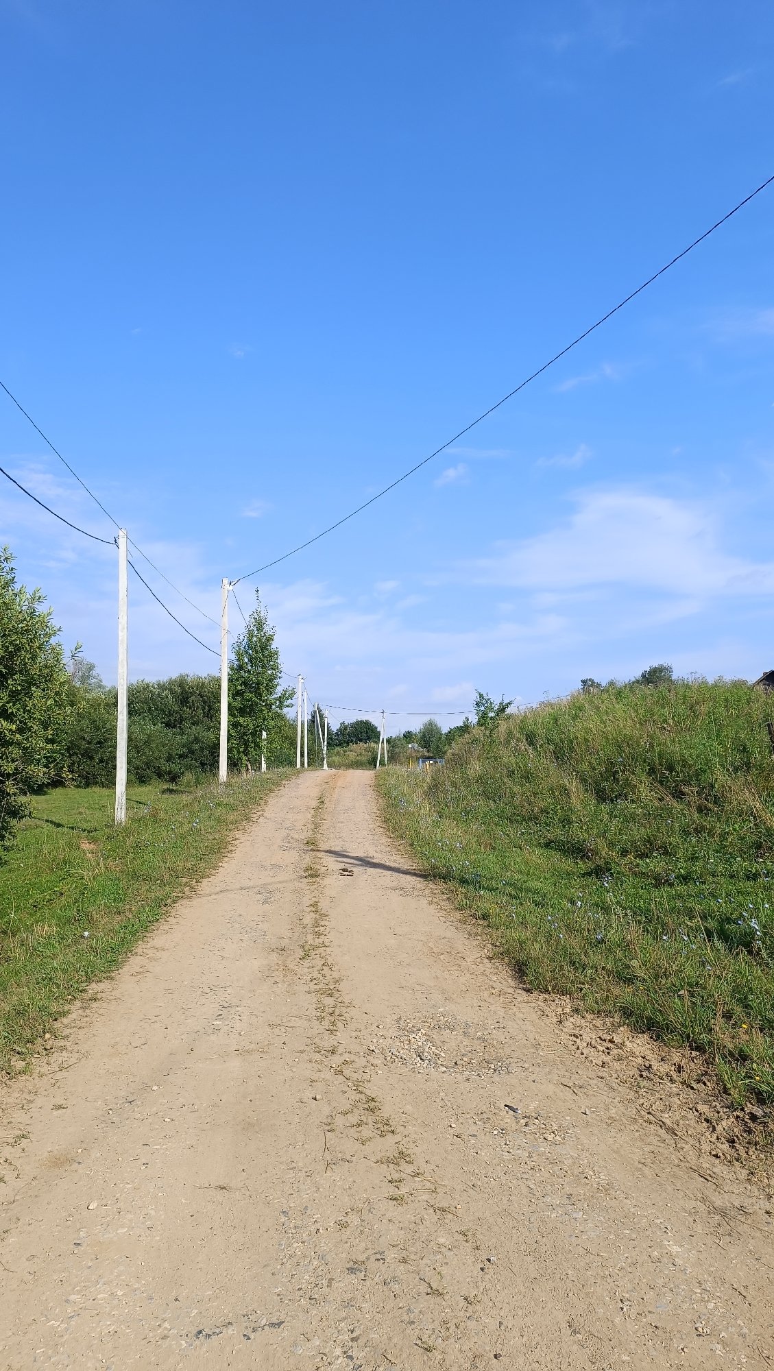 Summer nature walk through rural Karsha, Russia