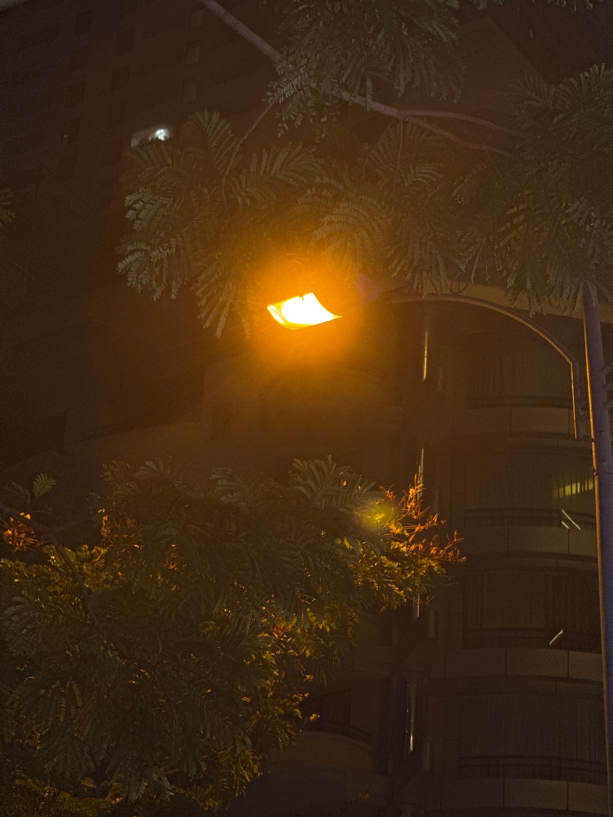 Nha Trang's beachfront strip alive on a July night