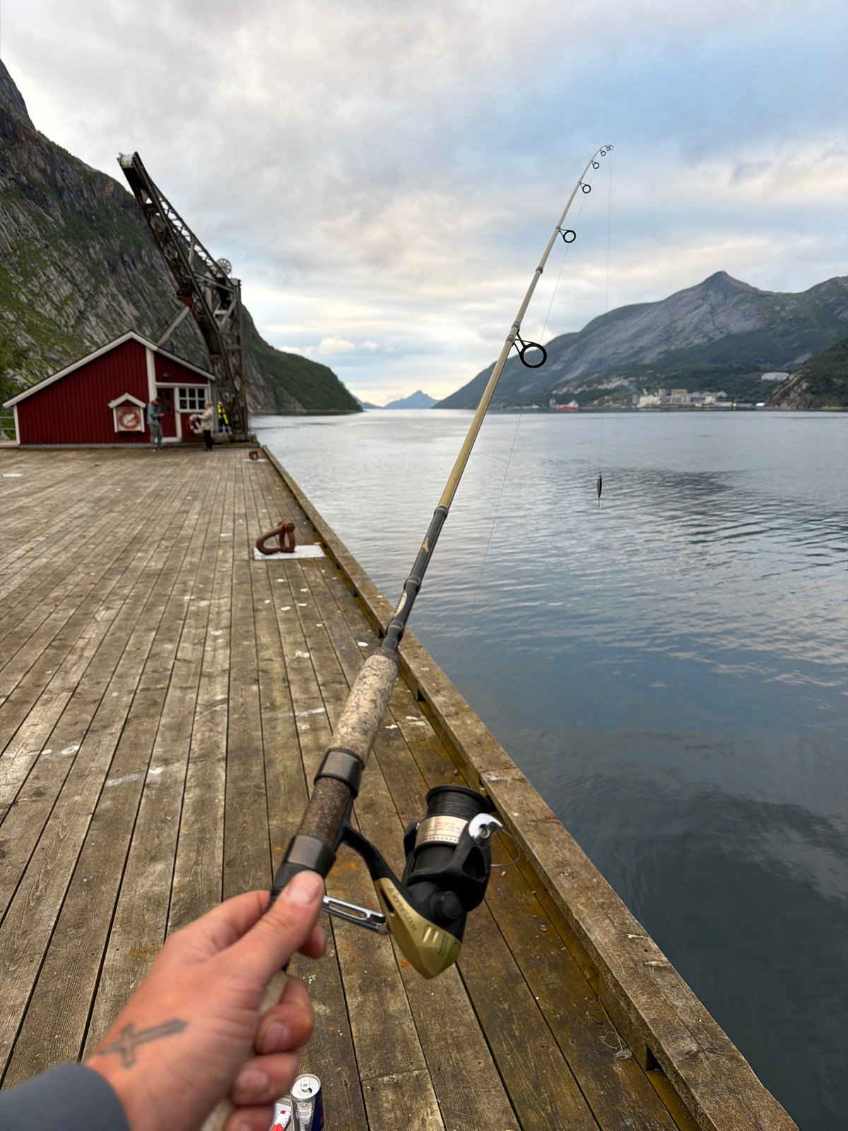 Pier fishing in Glomfjord, Norway