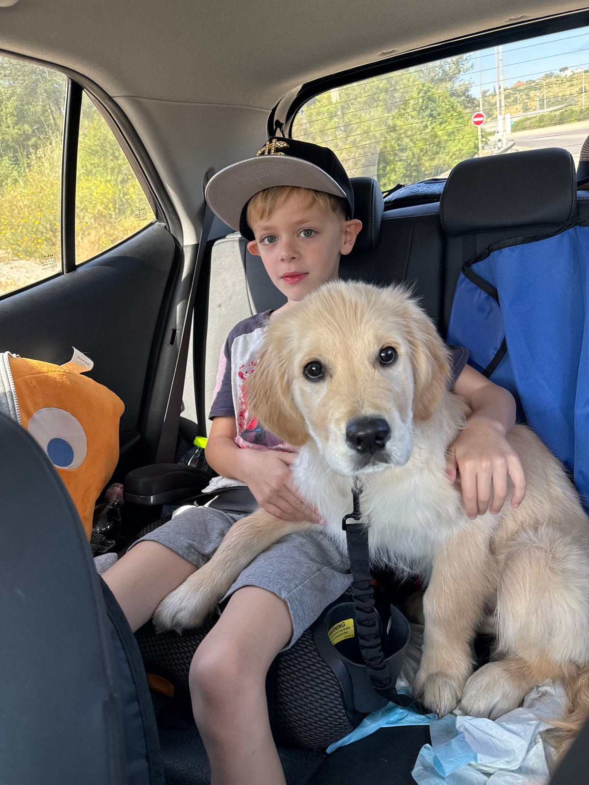 Boy with golden retriever puppy photographed in car, Israel