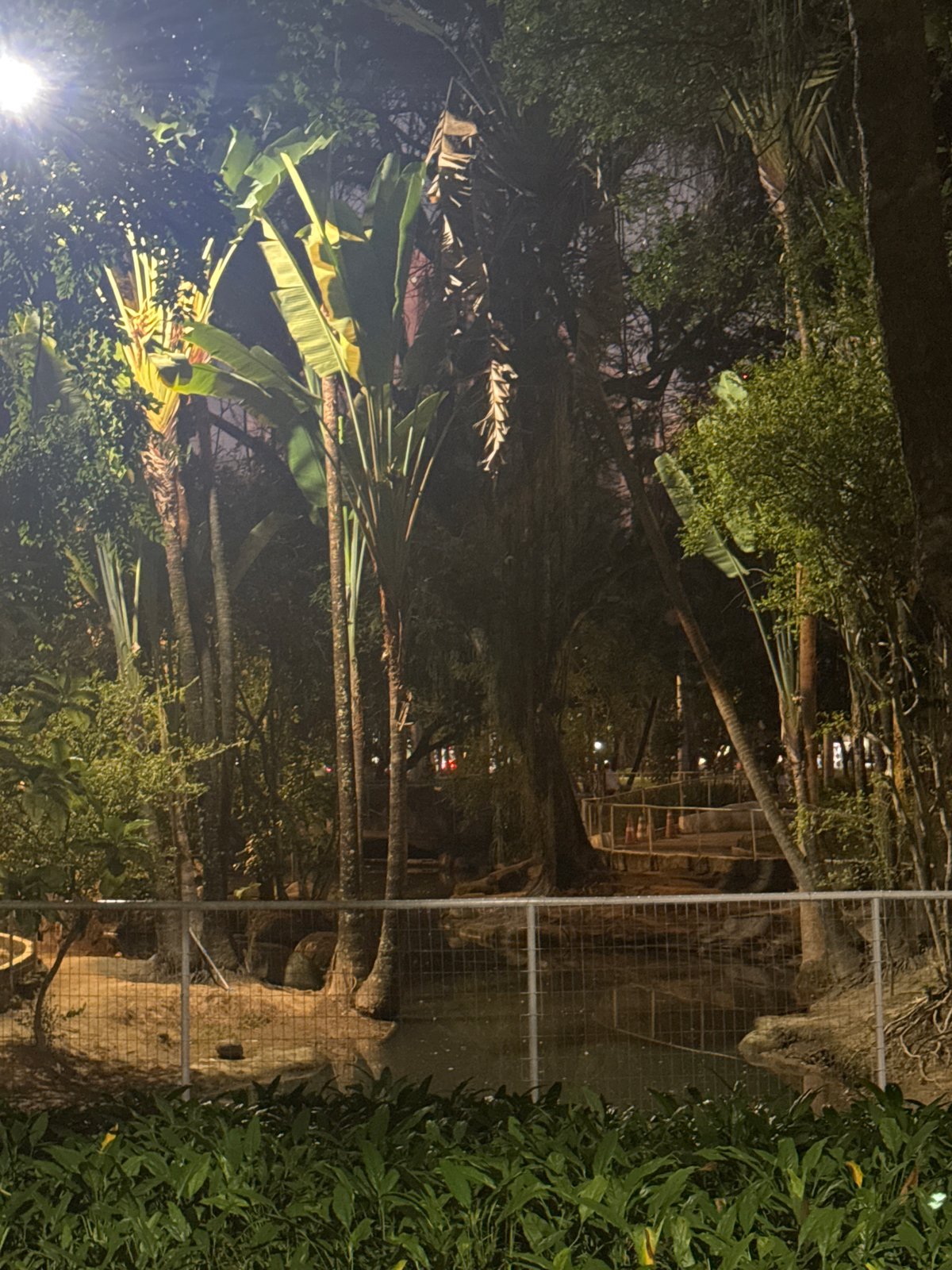 Niterói's parks after dark, trees and lit pathways