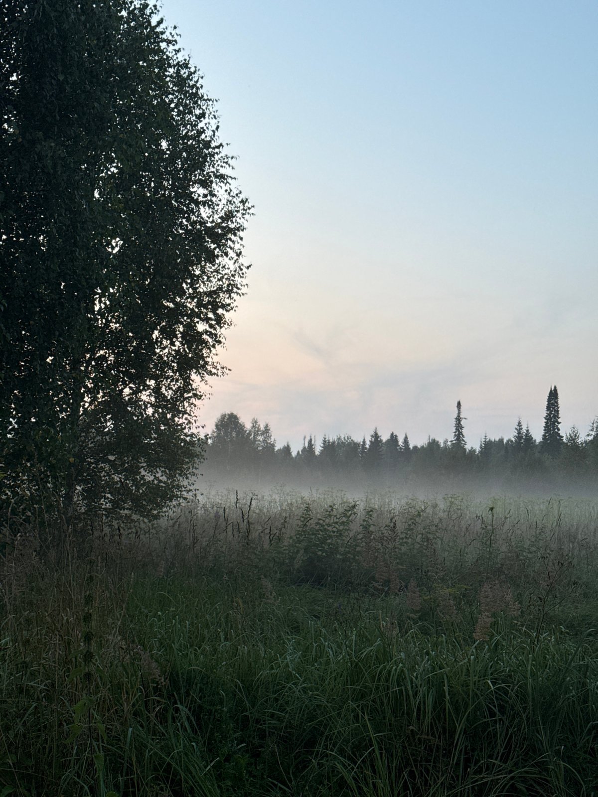 Misty dusk gathering at a rural spot in Zasechnyi, Russia