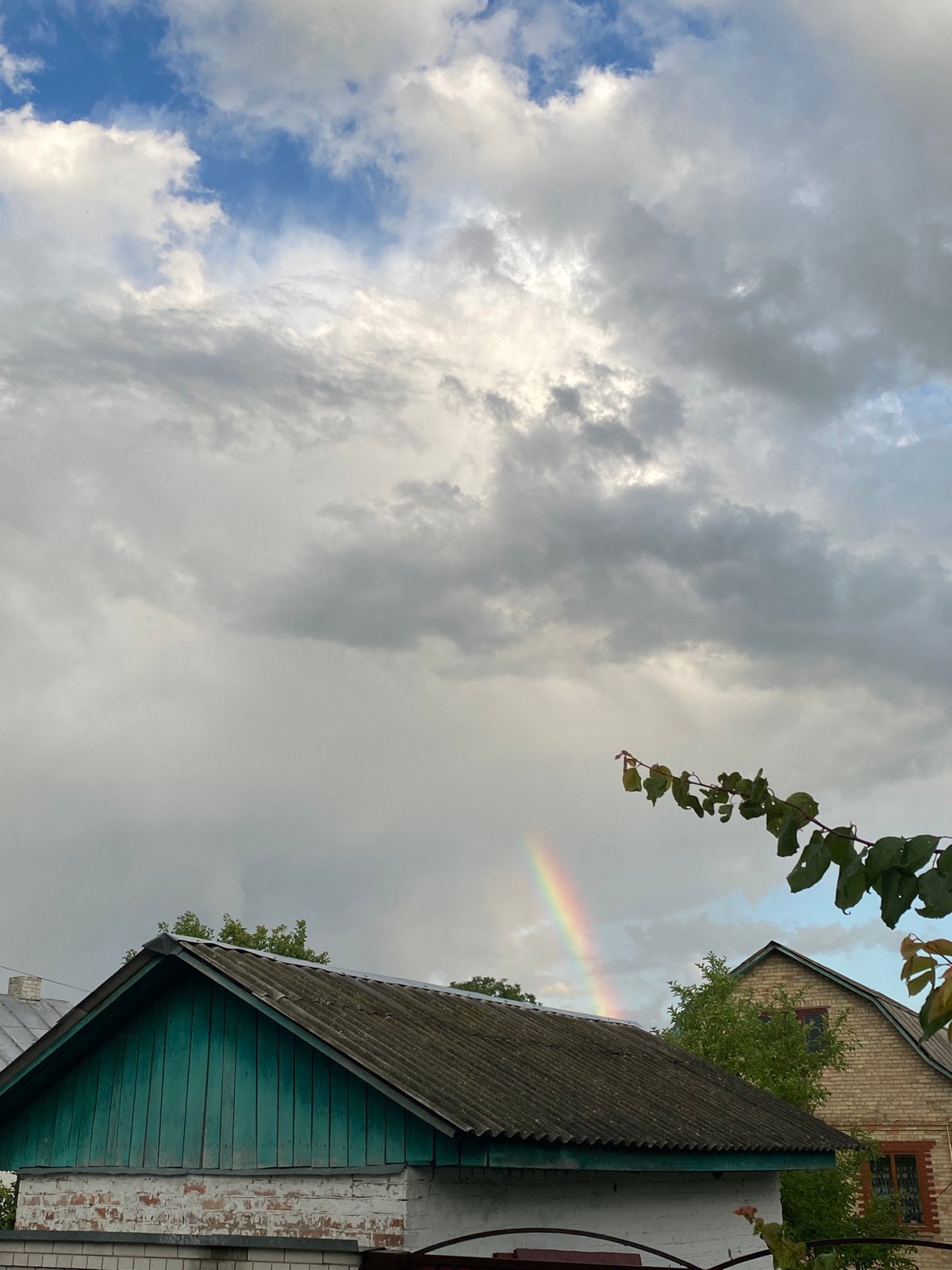 Quiet afternoon scenes: country roads, skies, and wildlife