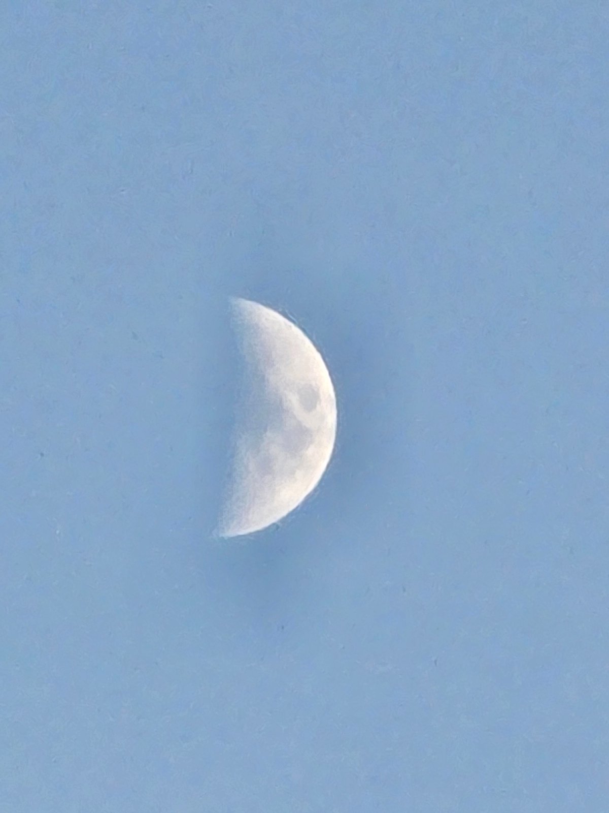 Half-moon with crater detail against a pale blue sky