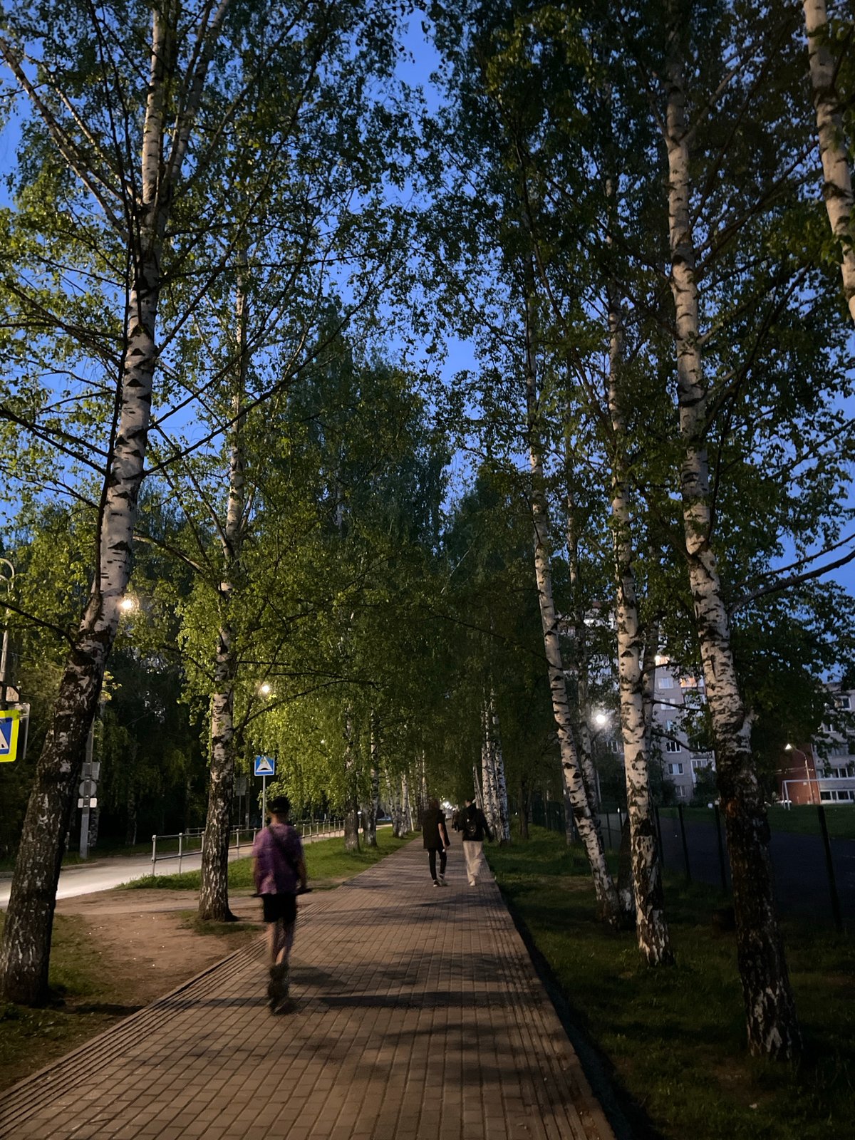 Two people pose for photo on tree-lined walkway in Izhevsk