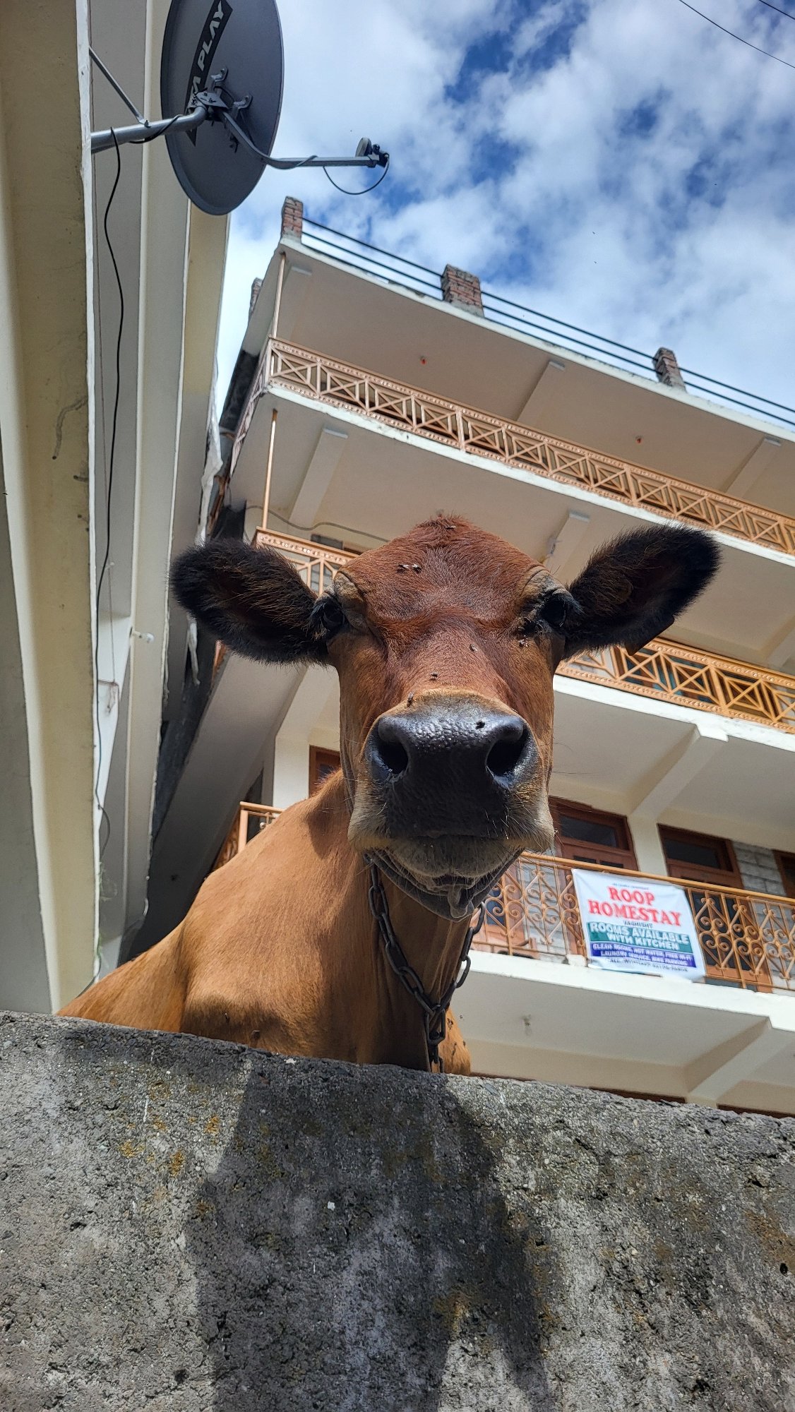 Daily life documented in Vashisht village, India mountain community