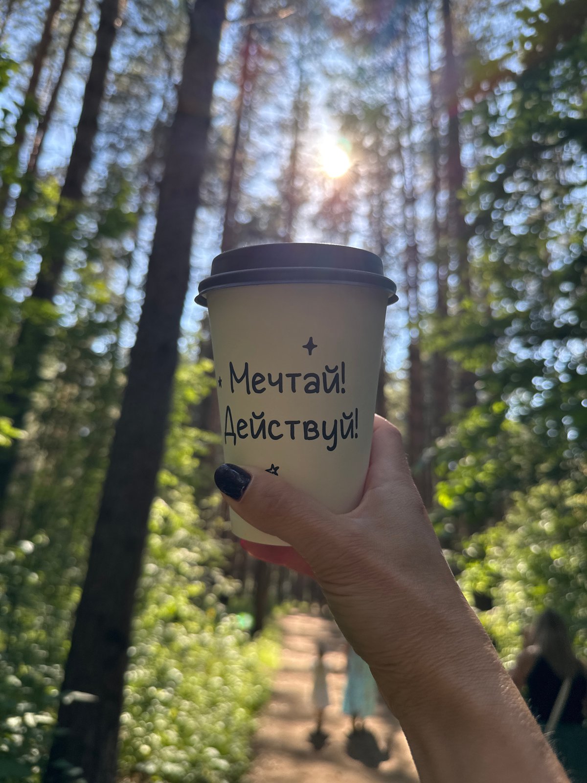 Coffee and pine trees on a summer afternoon in Chaikovsky