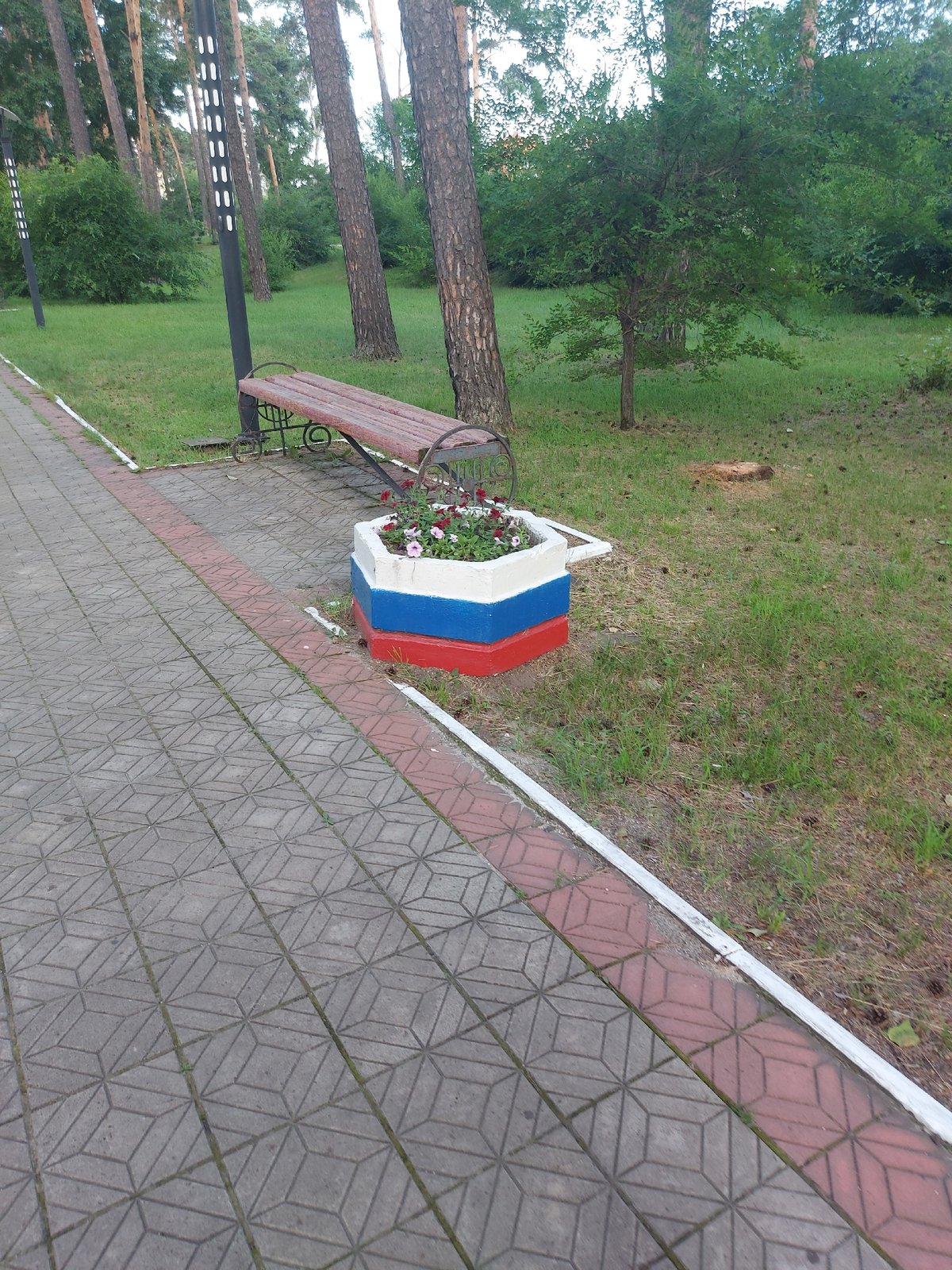Belogorsk park's rides, pines, and flowers on a summer morning