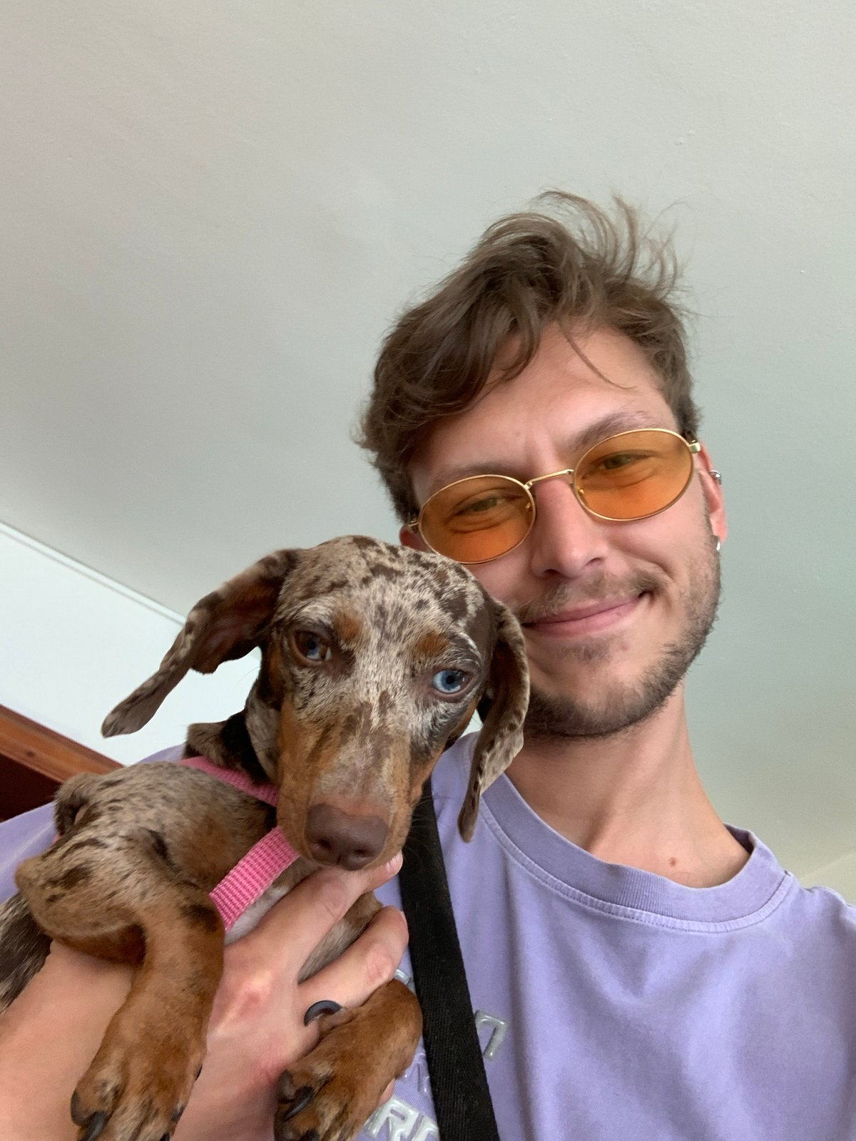 Man spotted with multiple dogs around Tel Aviv