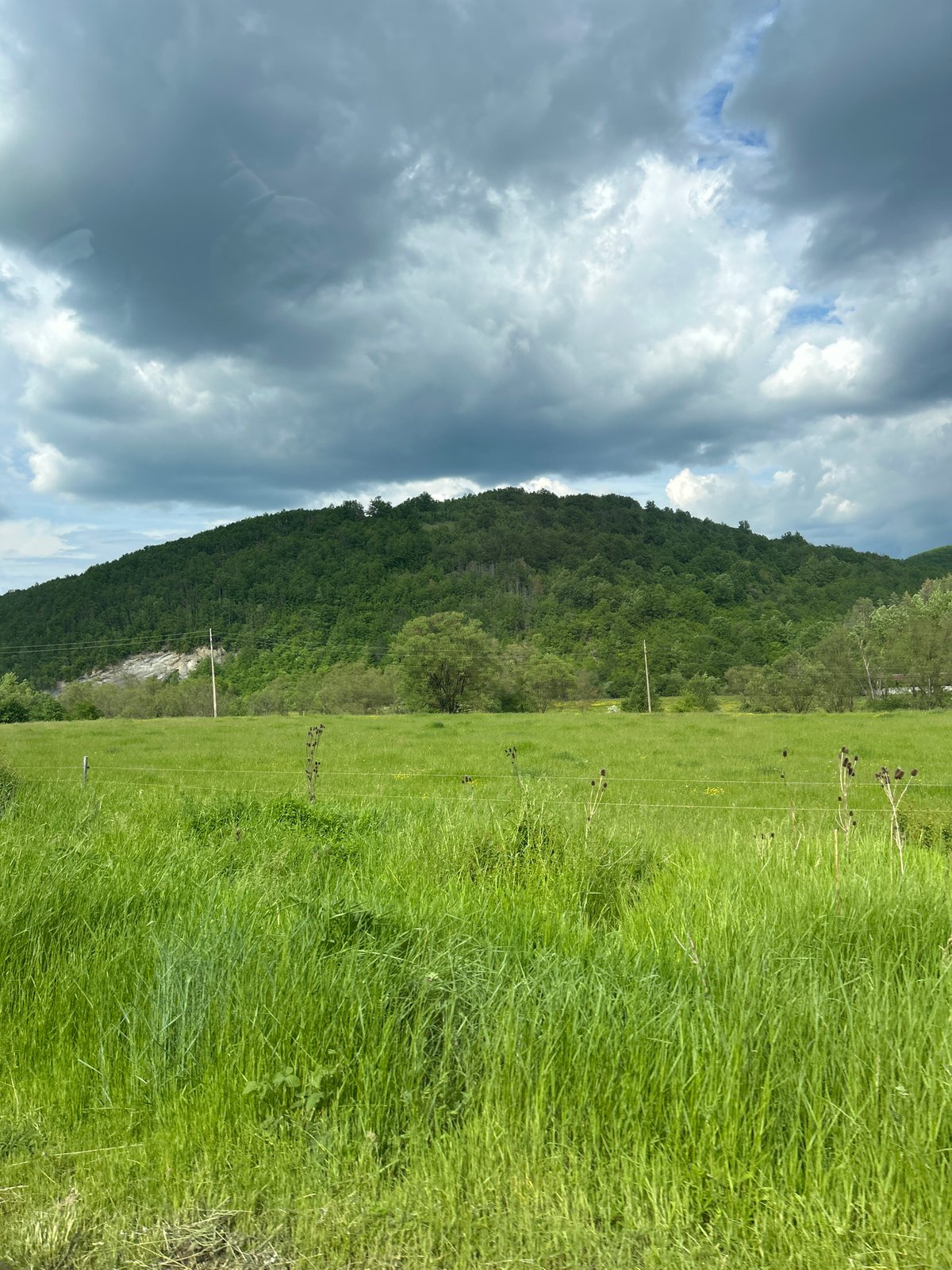 Rural countryside scenes documented during overcast spring afternoon