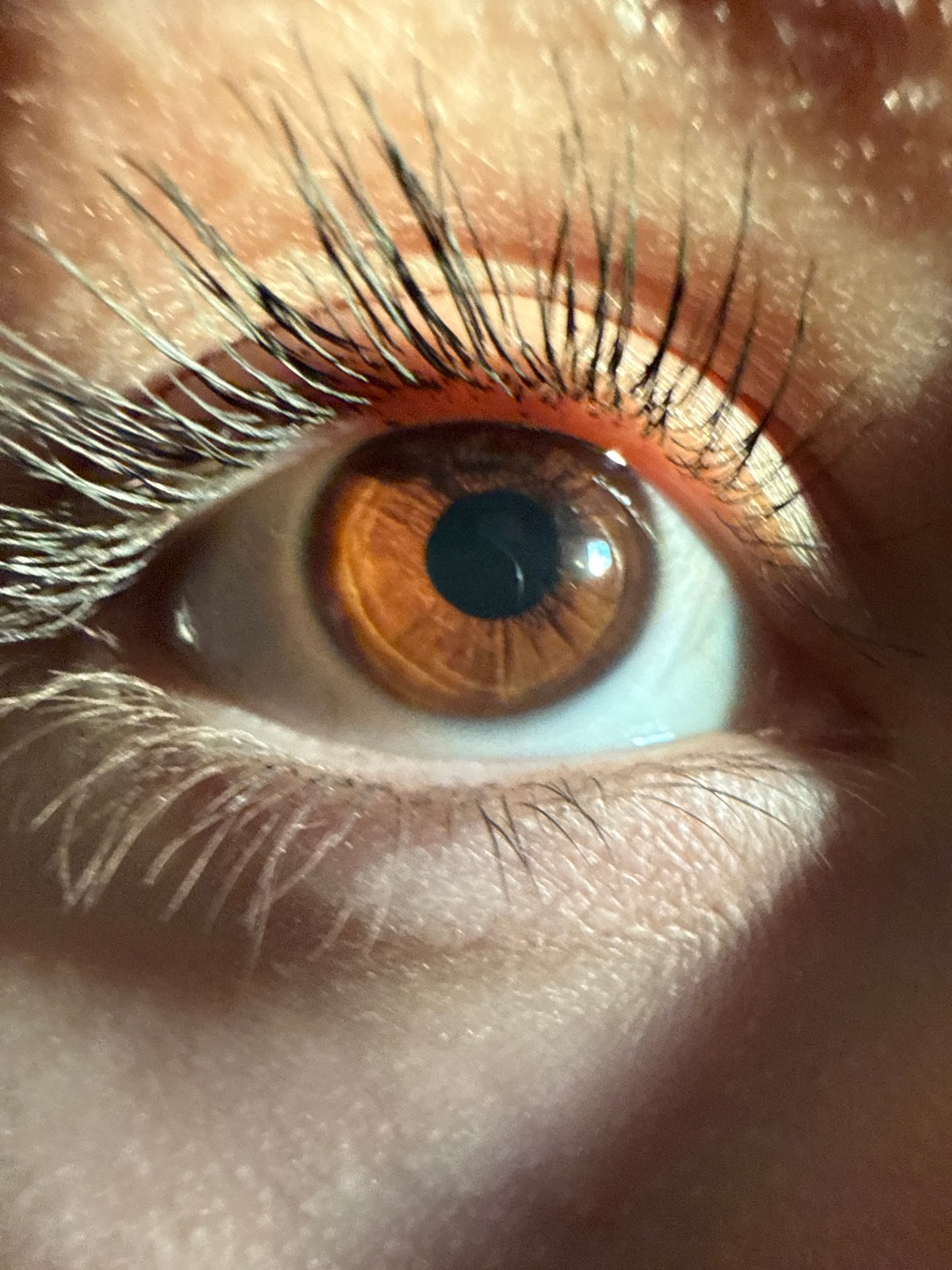 Close-up eye photography session documented by single witness