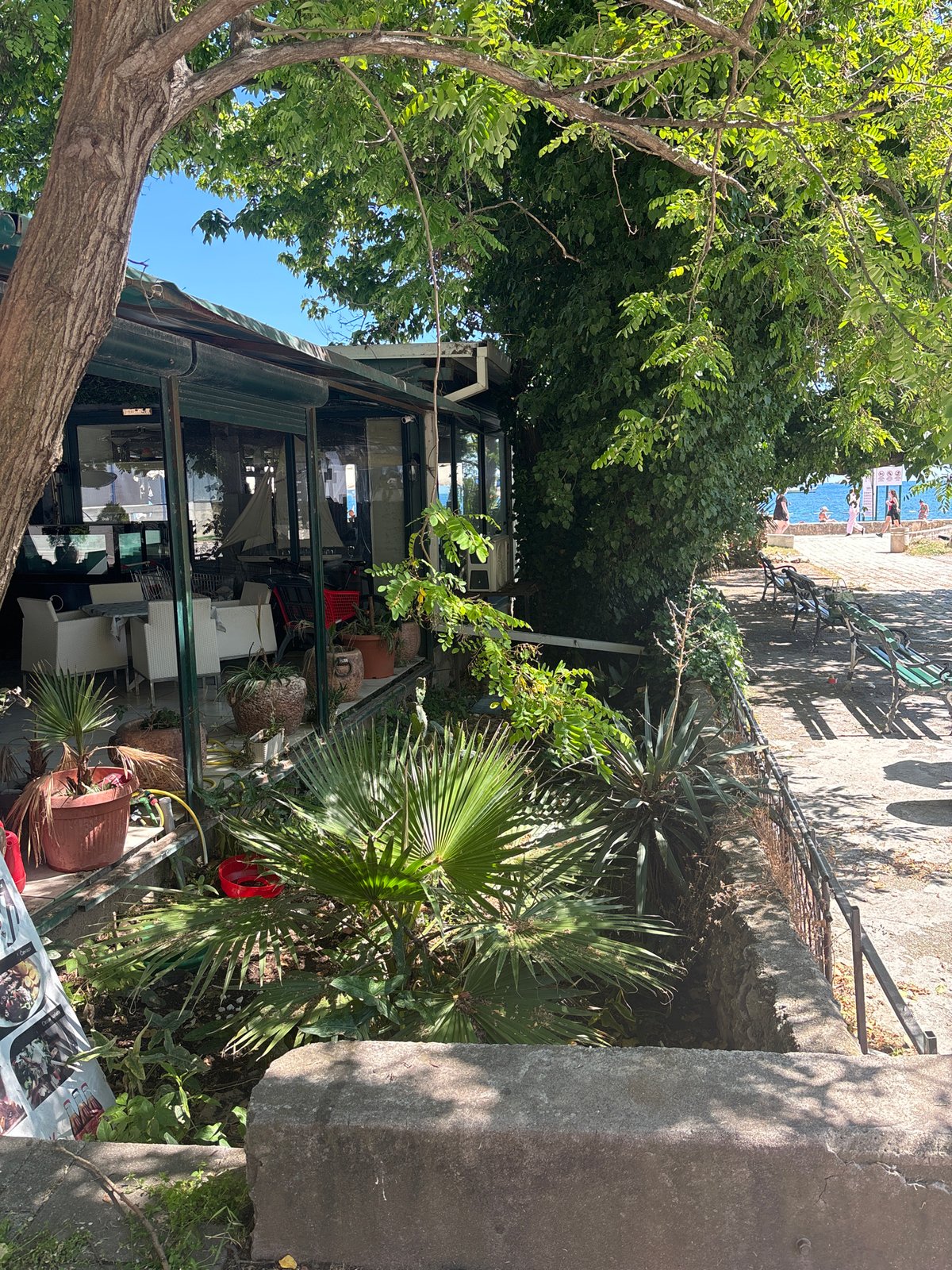 Casual street walk documented in Budva, Montenegro waterfront area