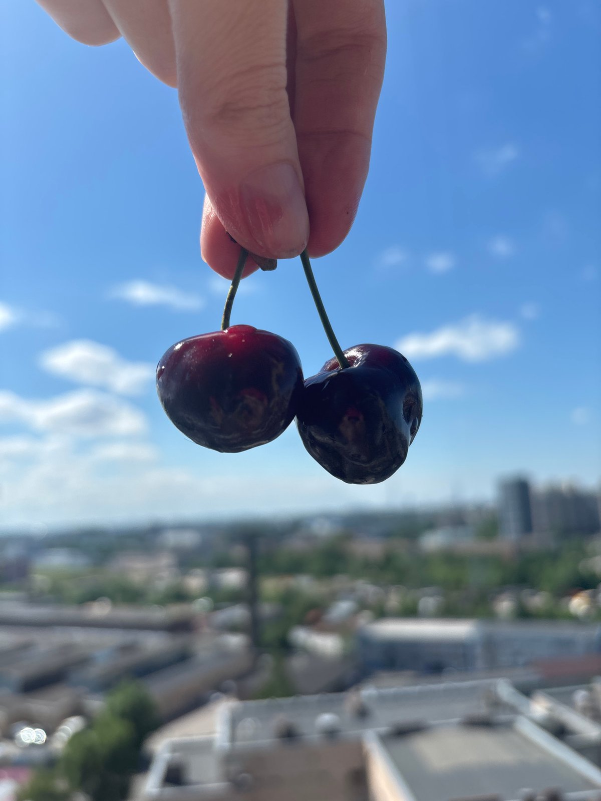 Summer fruit tasting on Russian balcony with city views