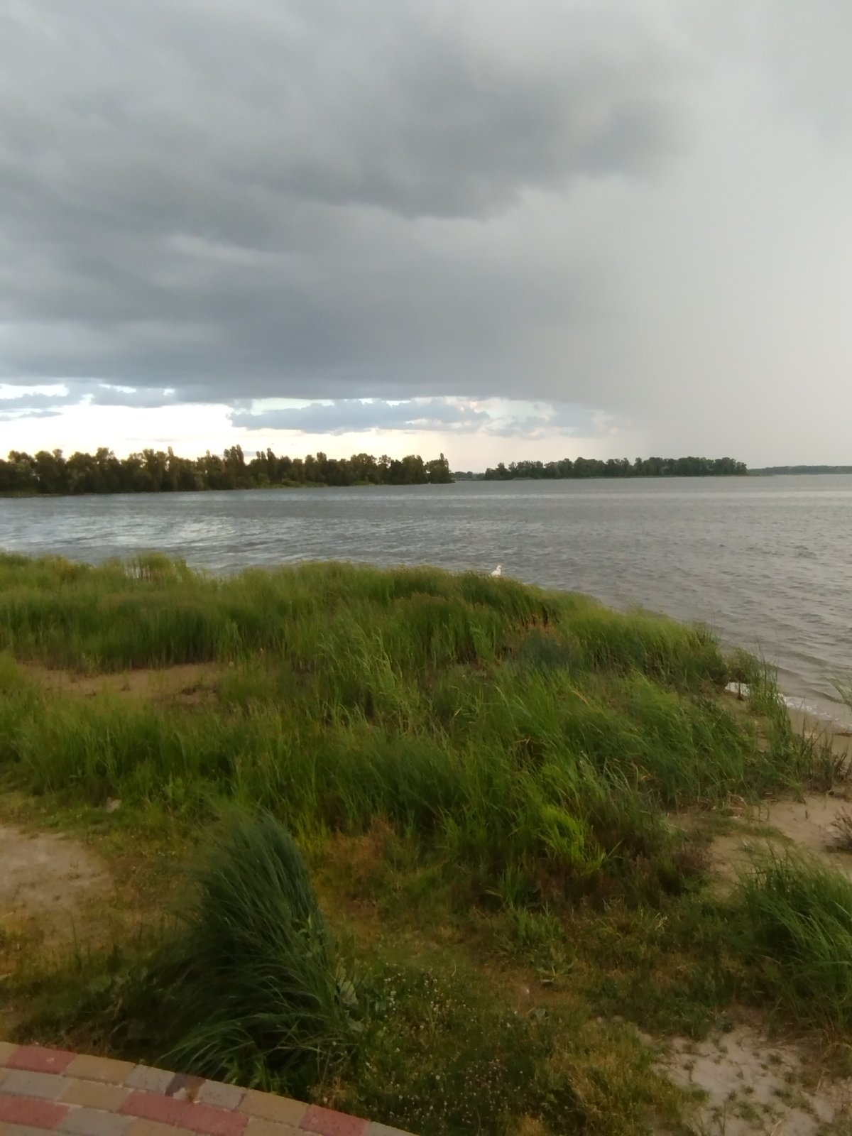 Stormy skies and egrets along the Dnieper riverbank