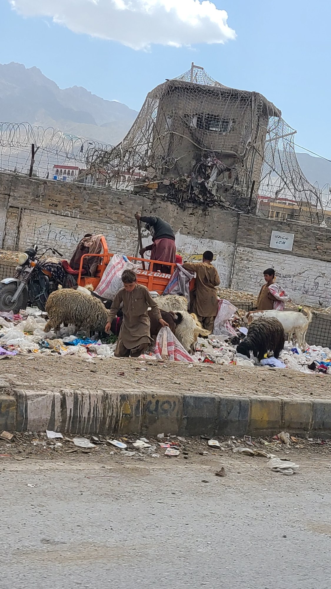 Scavenging activity documented along roadside in Quetta, Pakistan