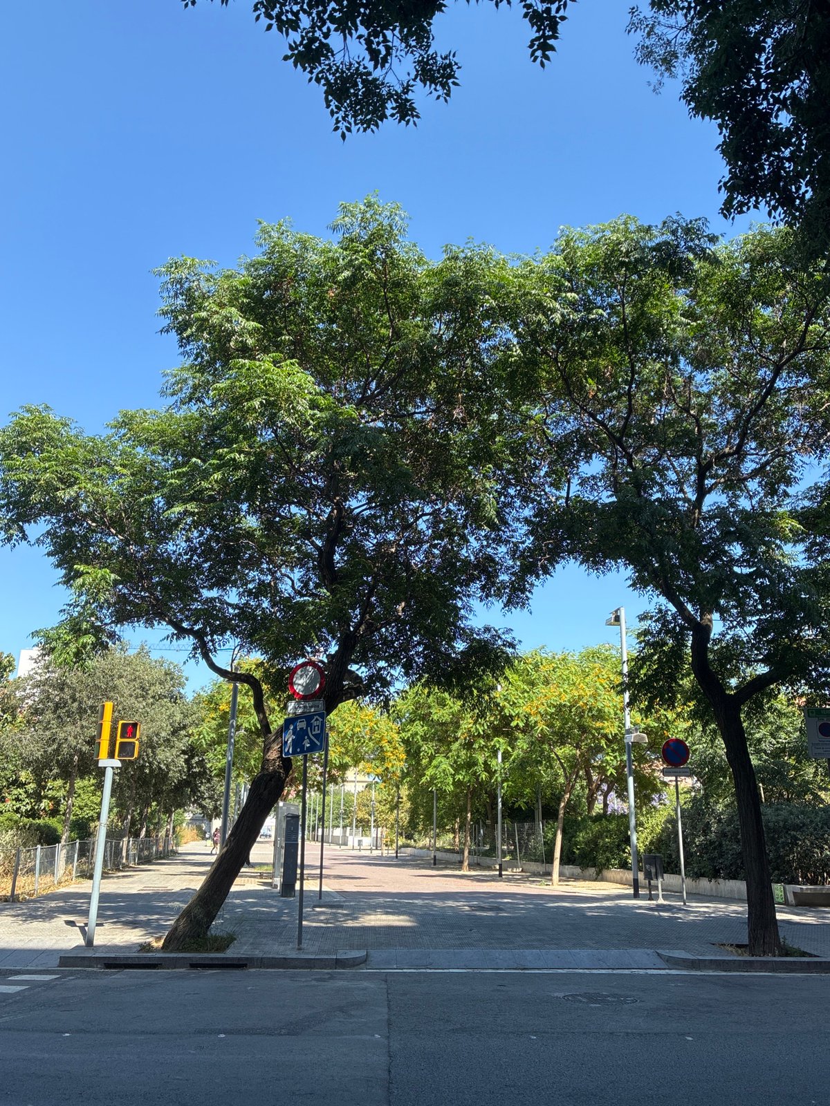Casual midday walk through sunny Barcelona streets documented