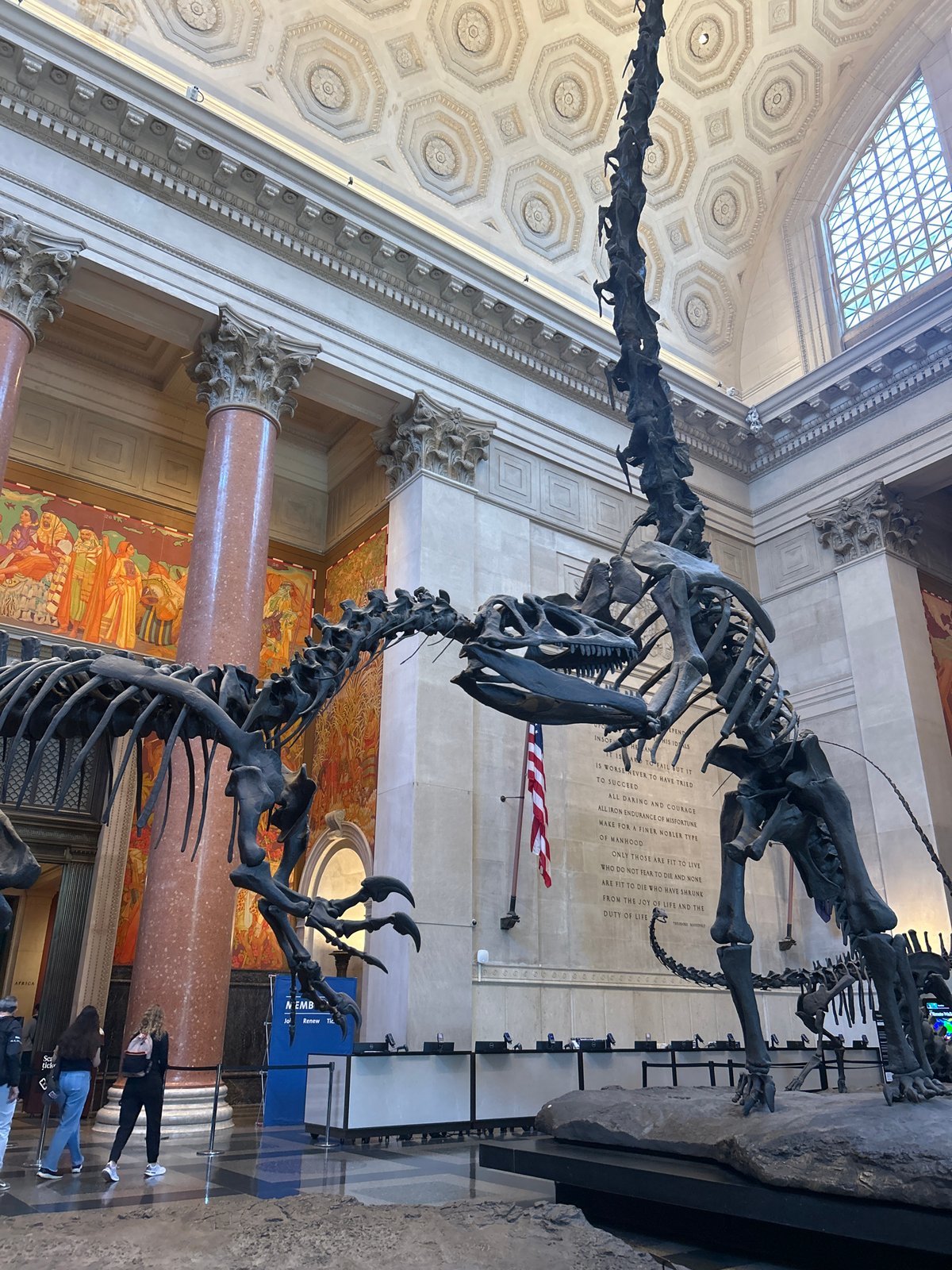 Visitor documents New York museum exhibits on sunny afternoon