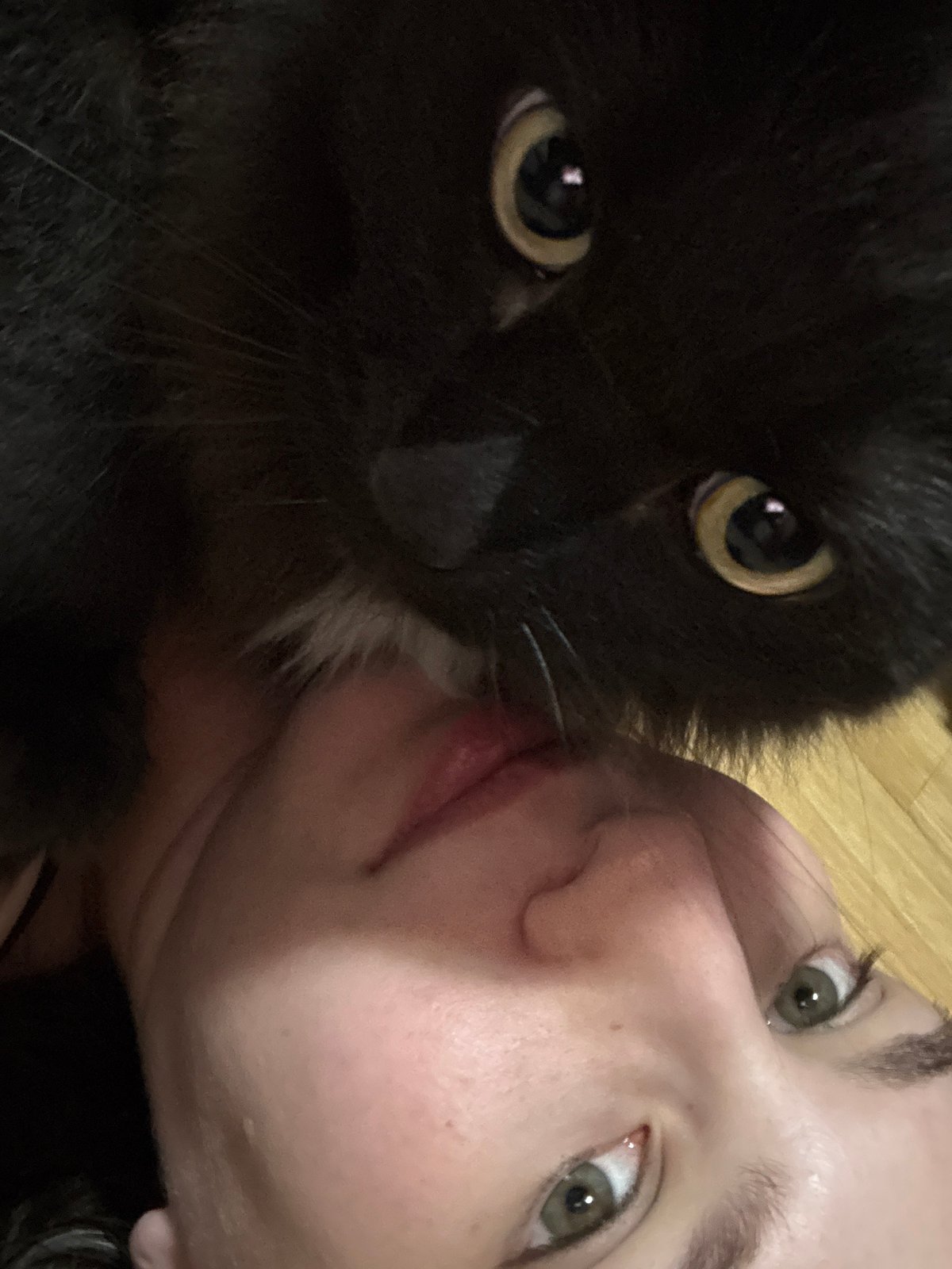 Evening home moments with cat documented in Chaikovsky, Russia