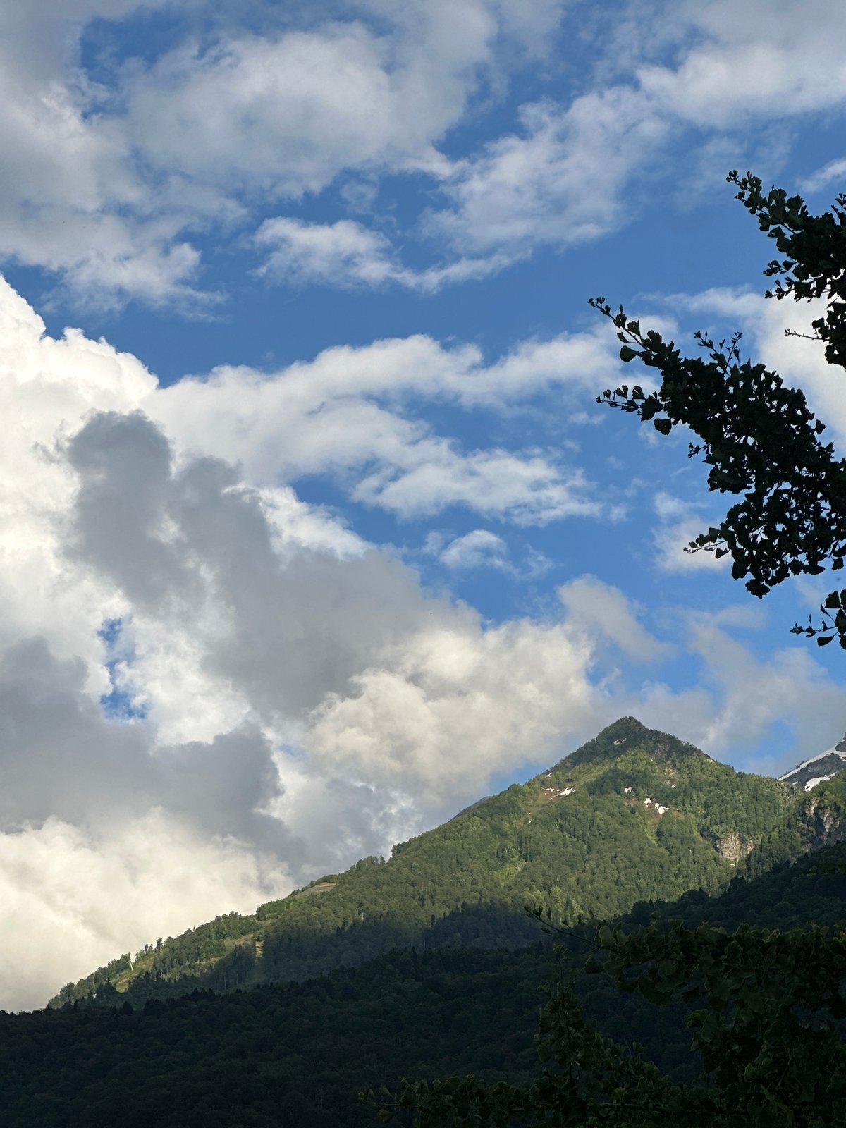 Snow-capped peaks and forest layers at Krasnaya Polyana