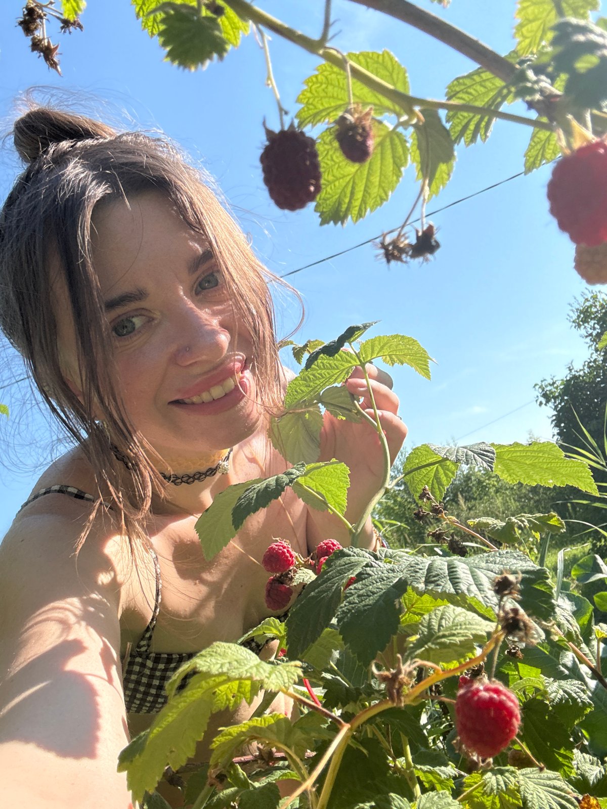 Picking wild strawberries and raspberries on a sunny afternoon