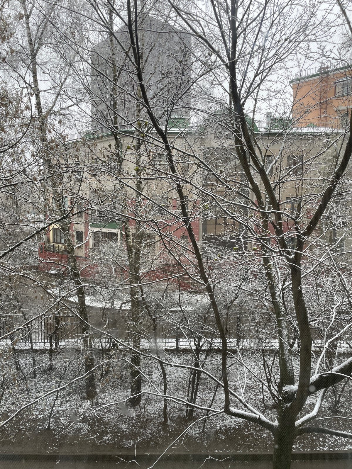 Winter scene documented in Moscow with snow-covered trees
