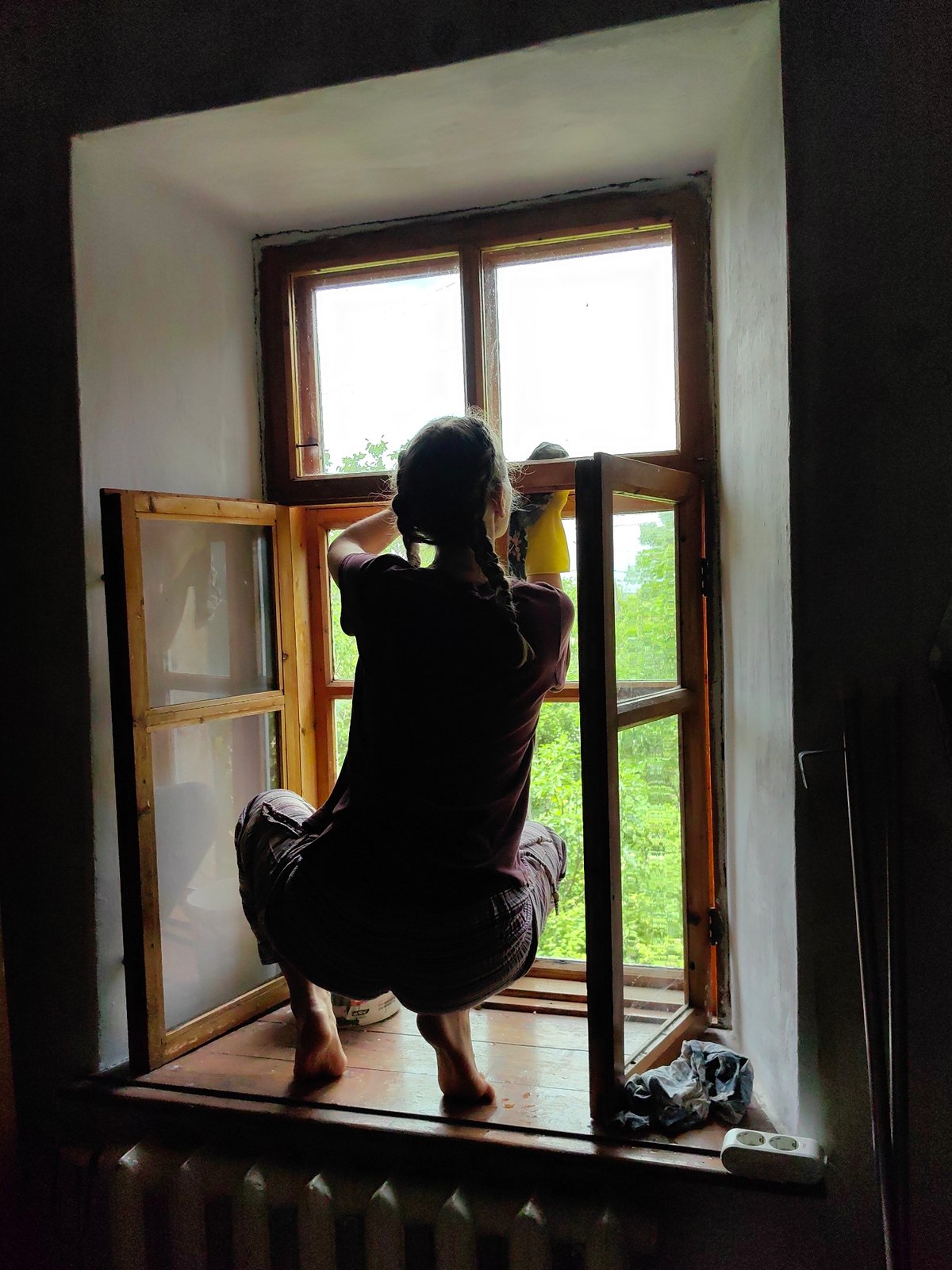 Morning Window Cleaning and Beetle Activity Observed